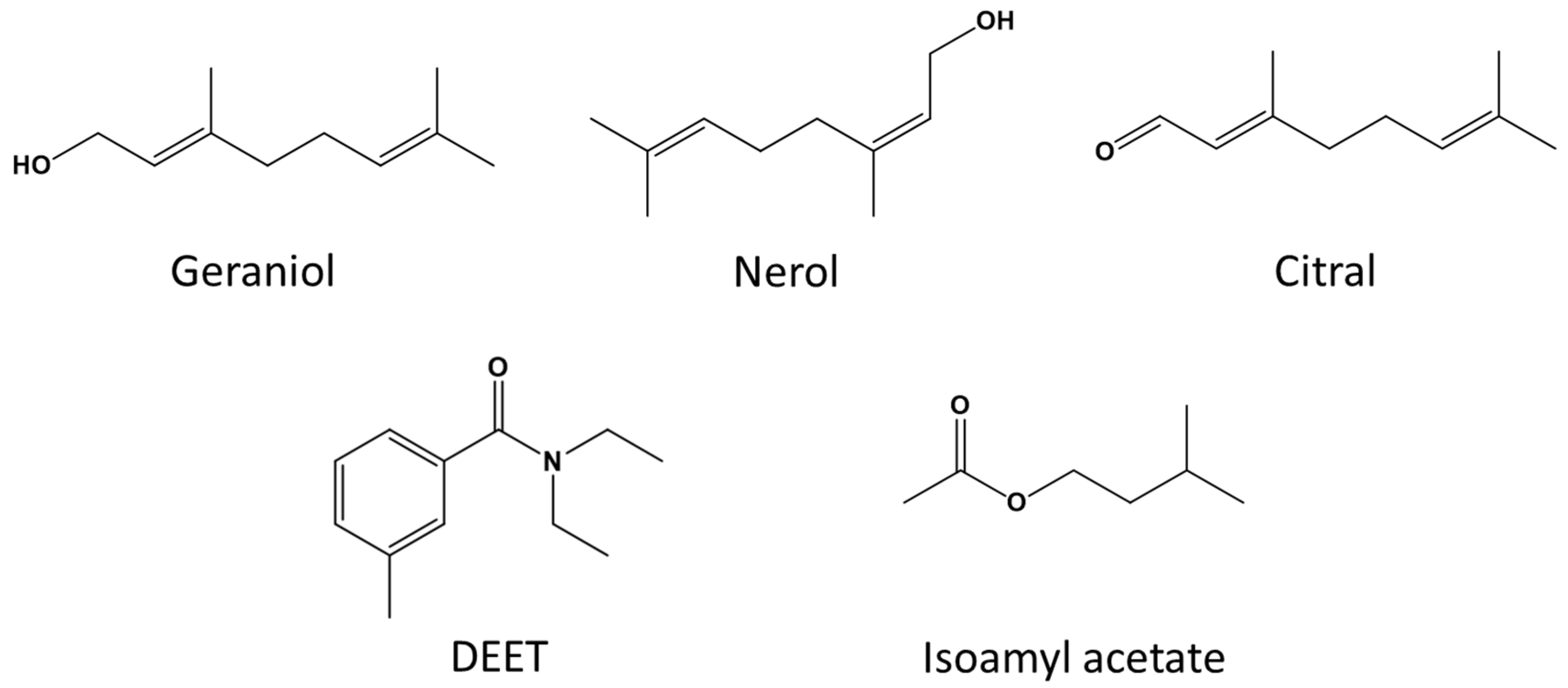 Insects 11 00083 g001