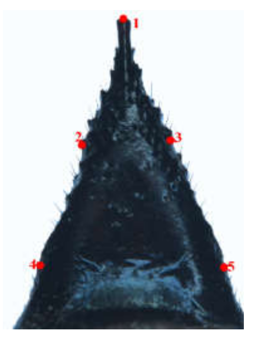 Insects 11 00084 g003