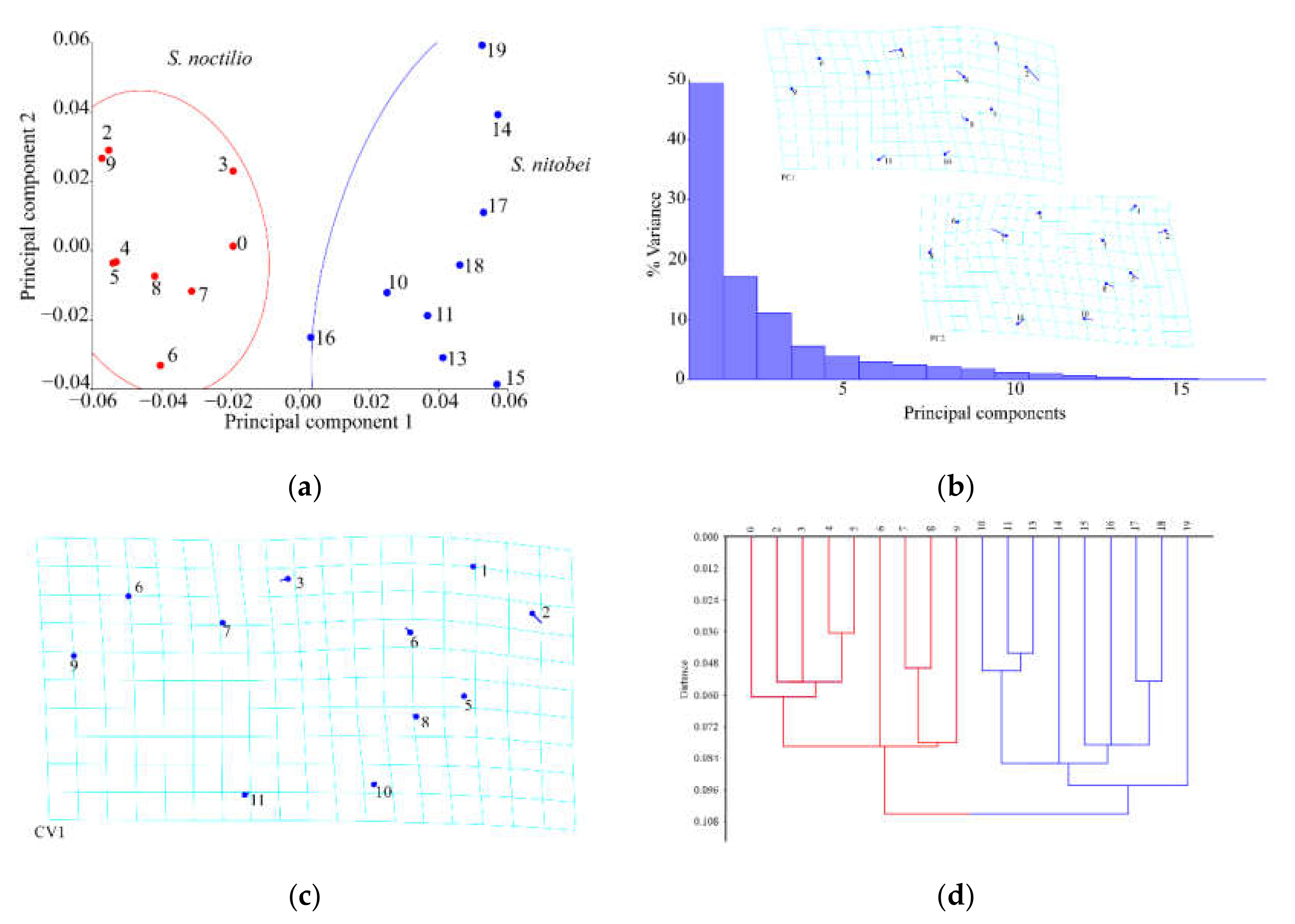 Insects 11 00084 g005