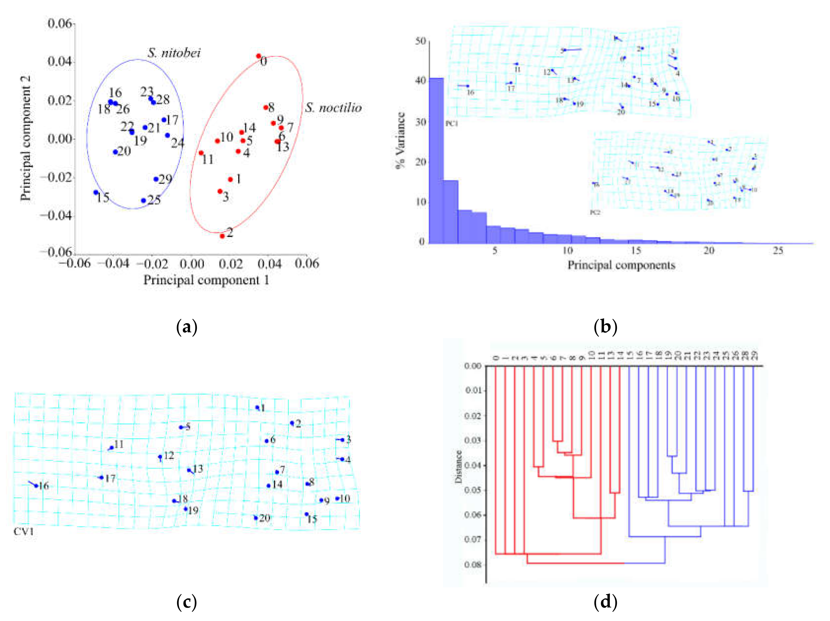 Insects 11 00084 g006