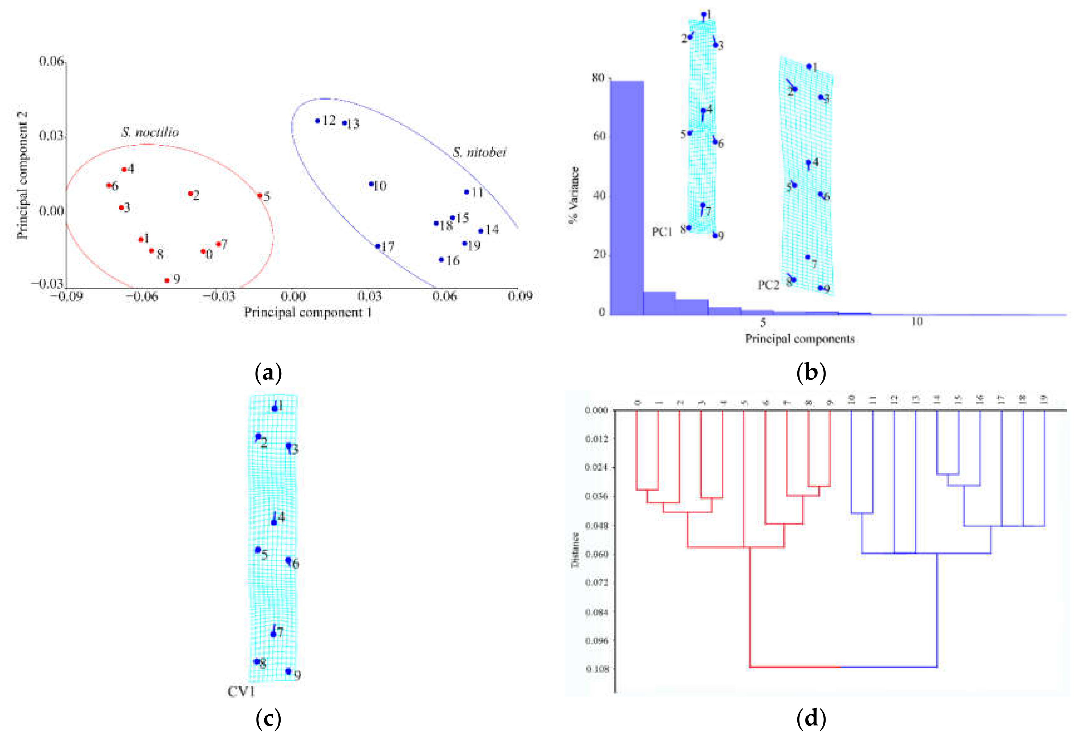 Insects 11 00084 g010