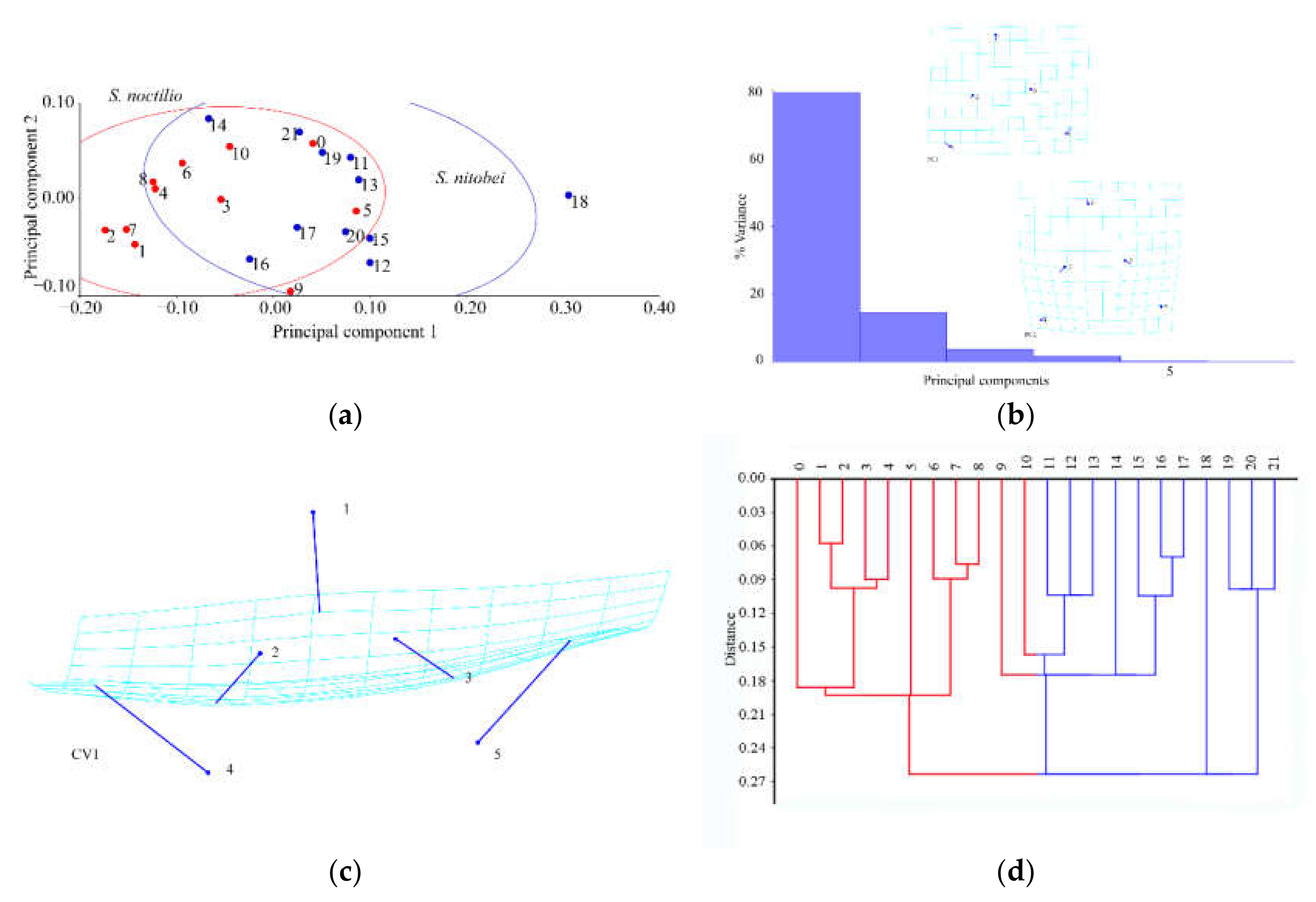 Insects 11 00084 g011
