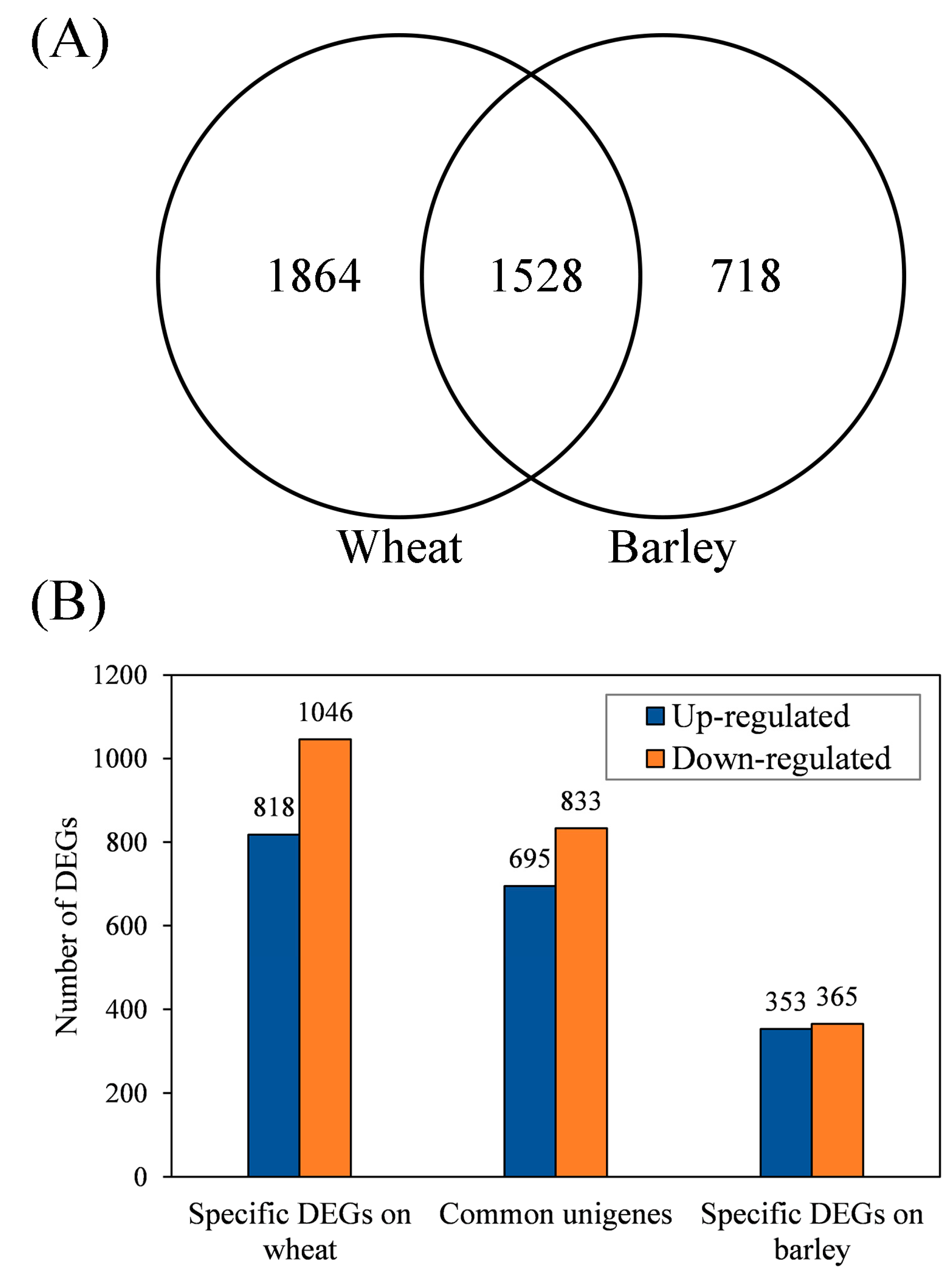 Insects 11 00090 g004