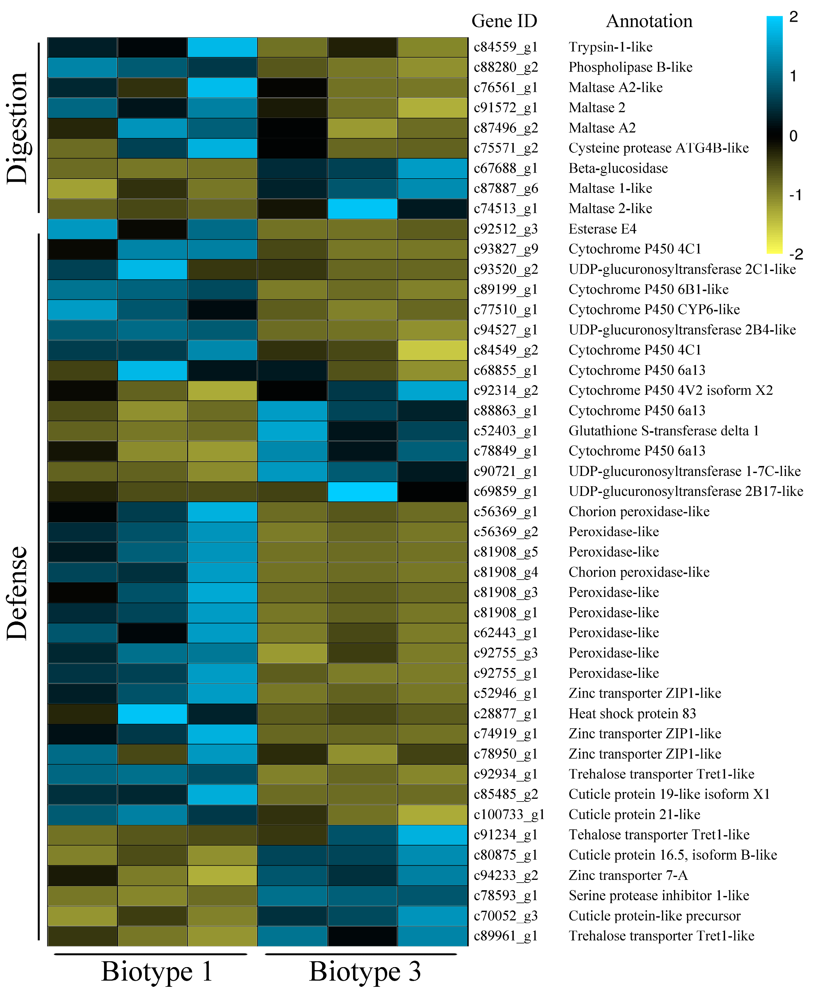 Insects 11 00090 g006