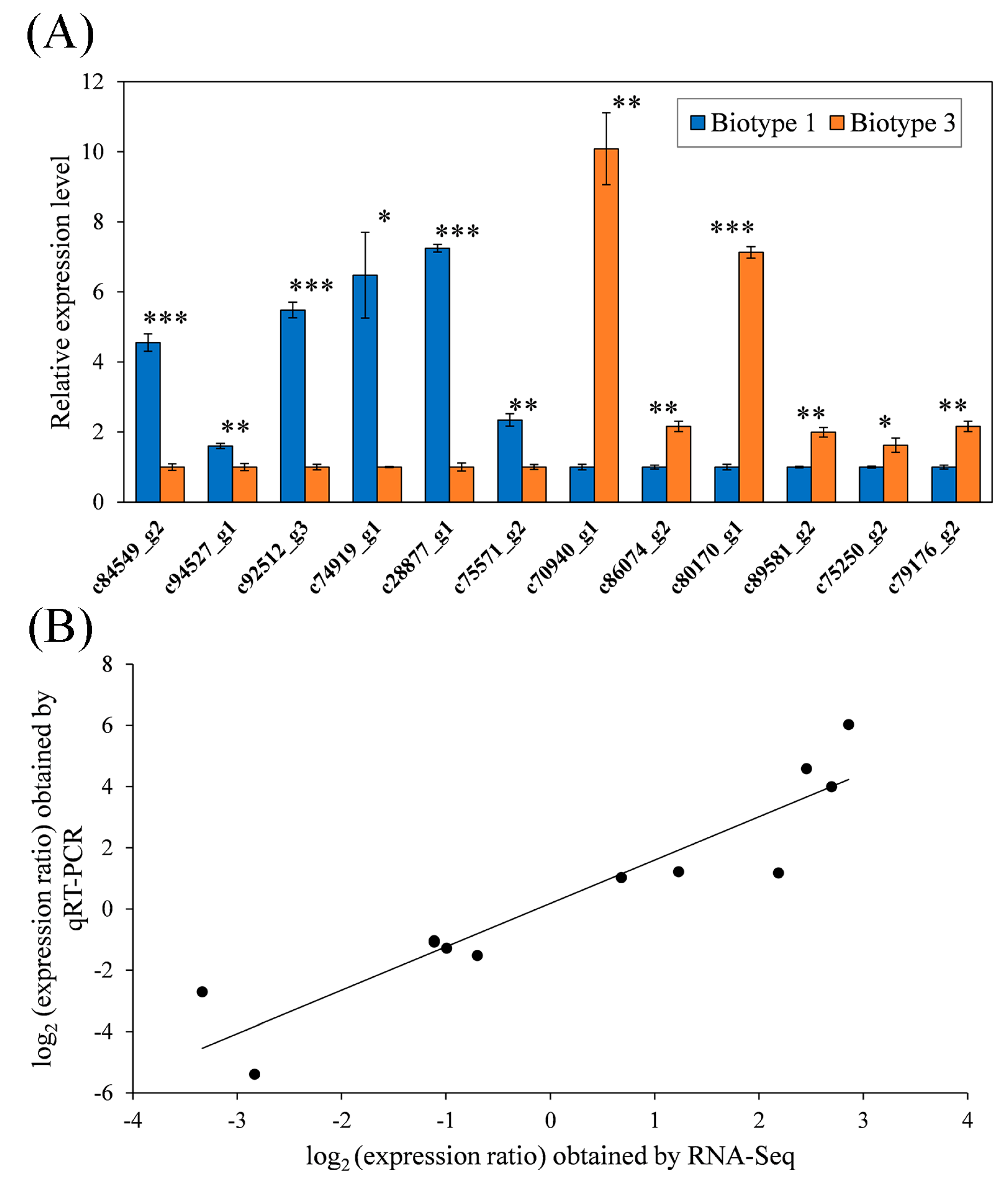 Insects 11 00090 g008