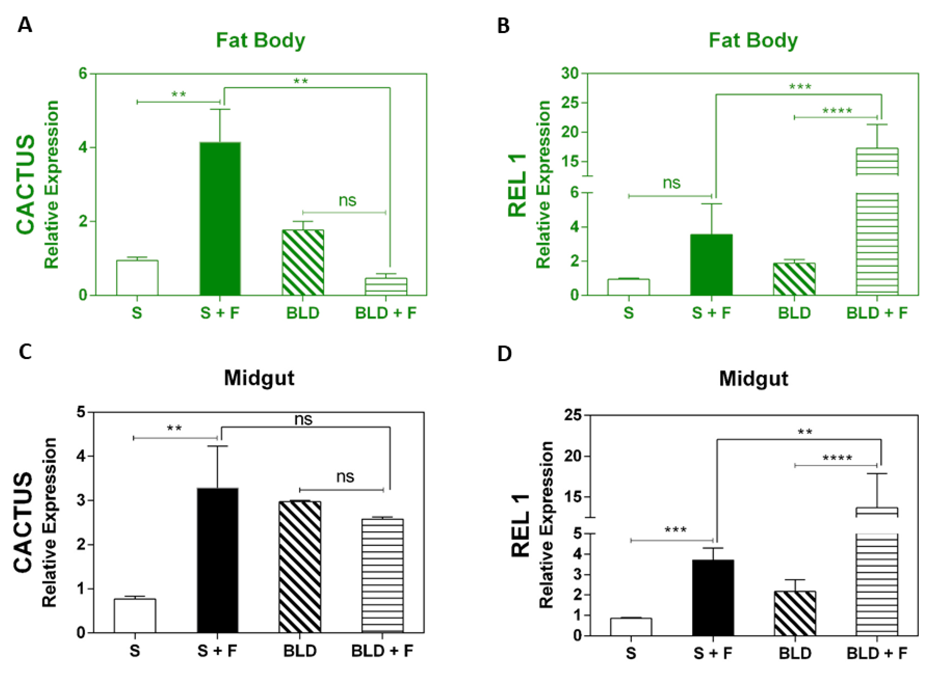 Insects 11 00095 g002 Insects 11 00095 g002
