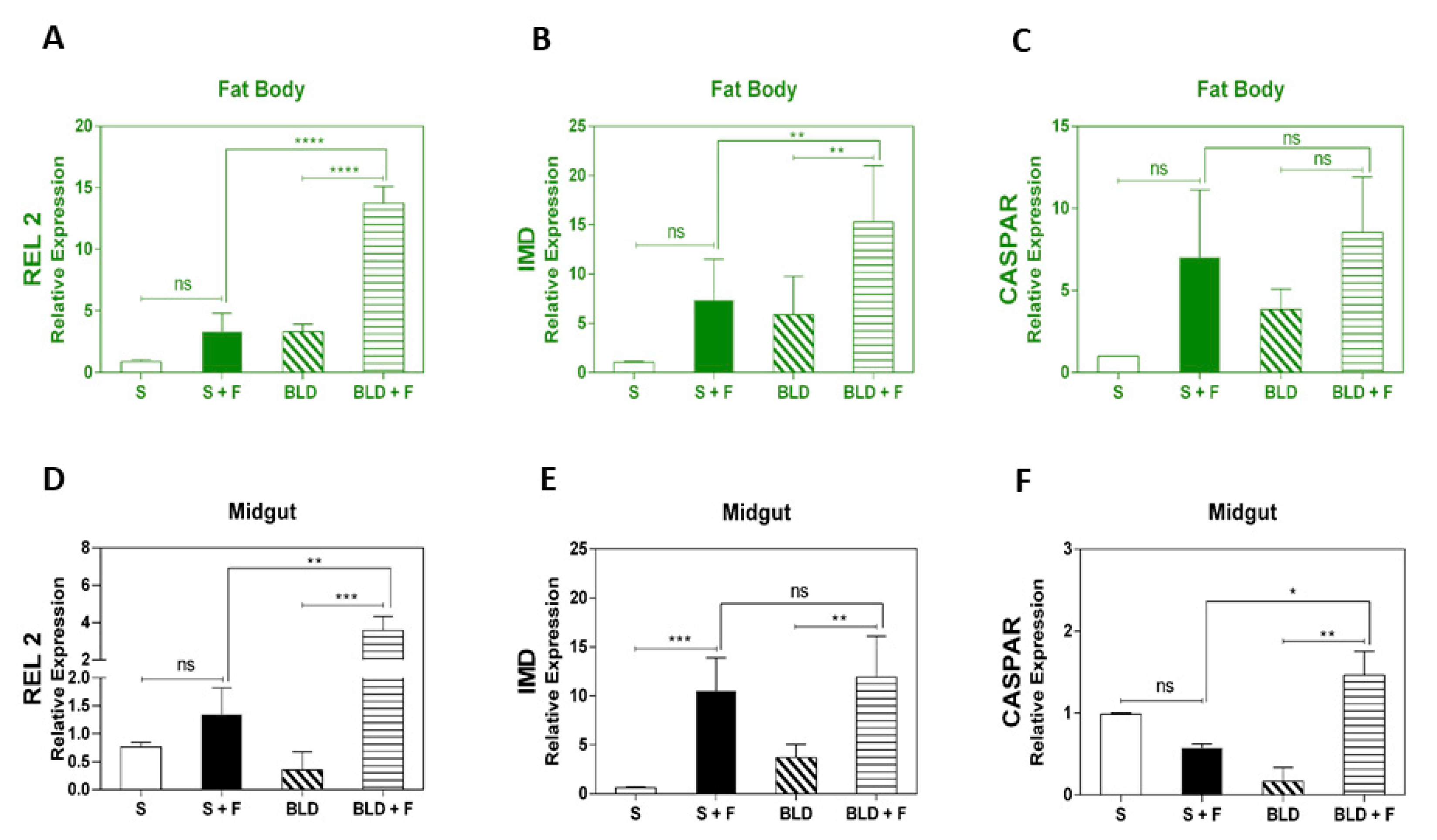 Insects 11 00095 g003 Insects 11 00095 g003