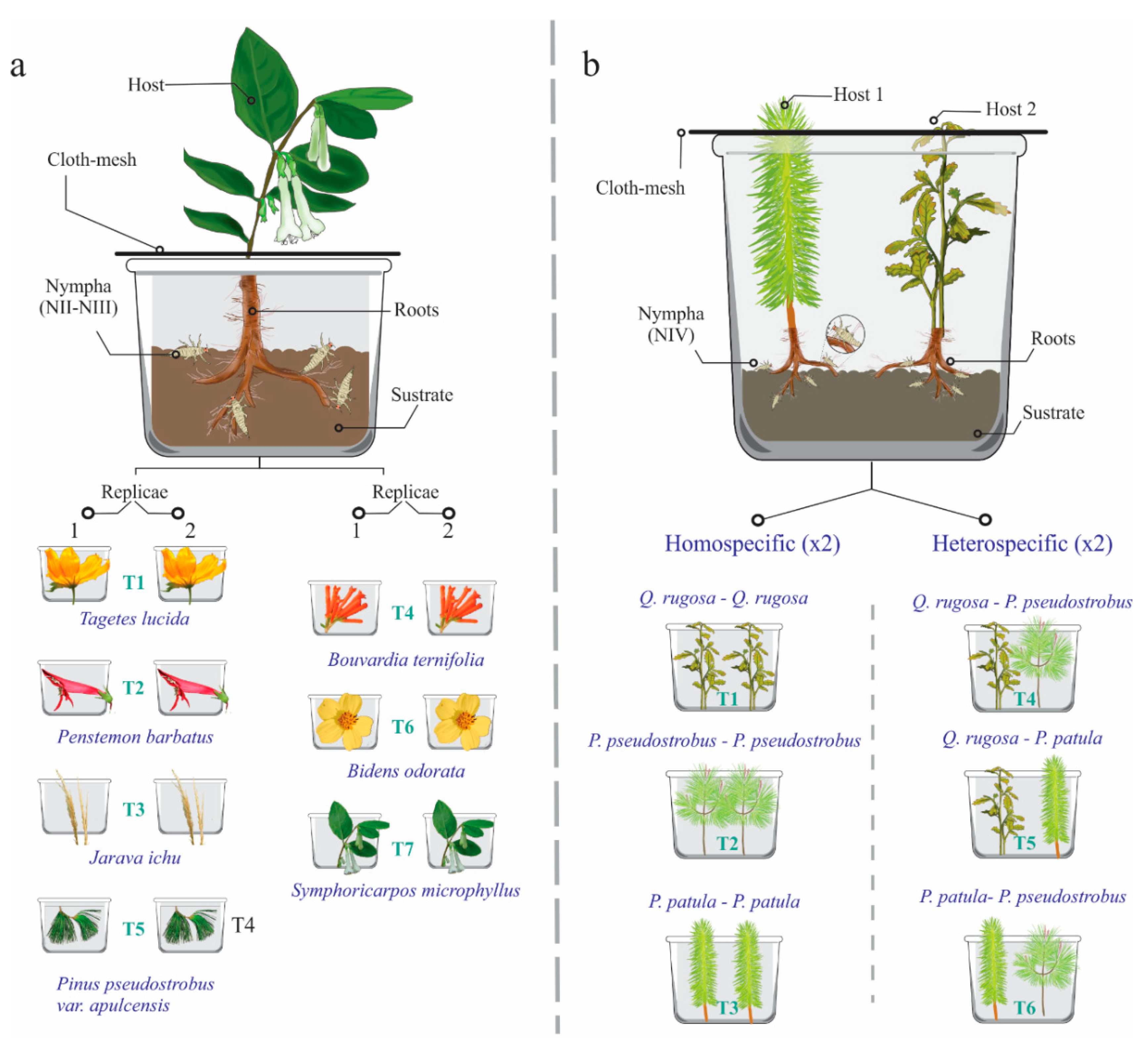 Insects 11 00096 g002