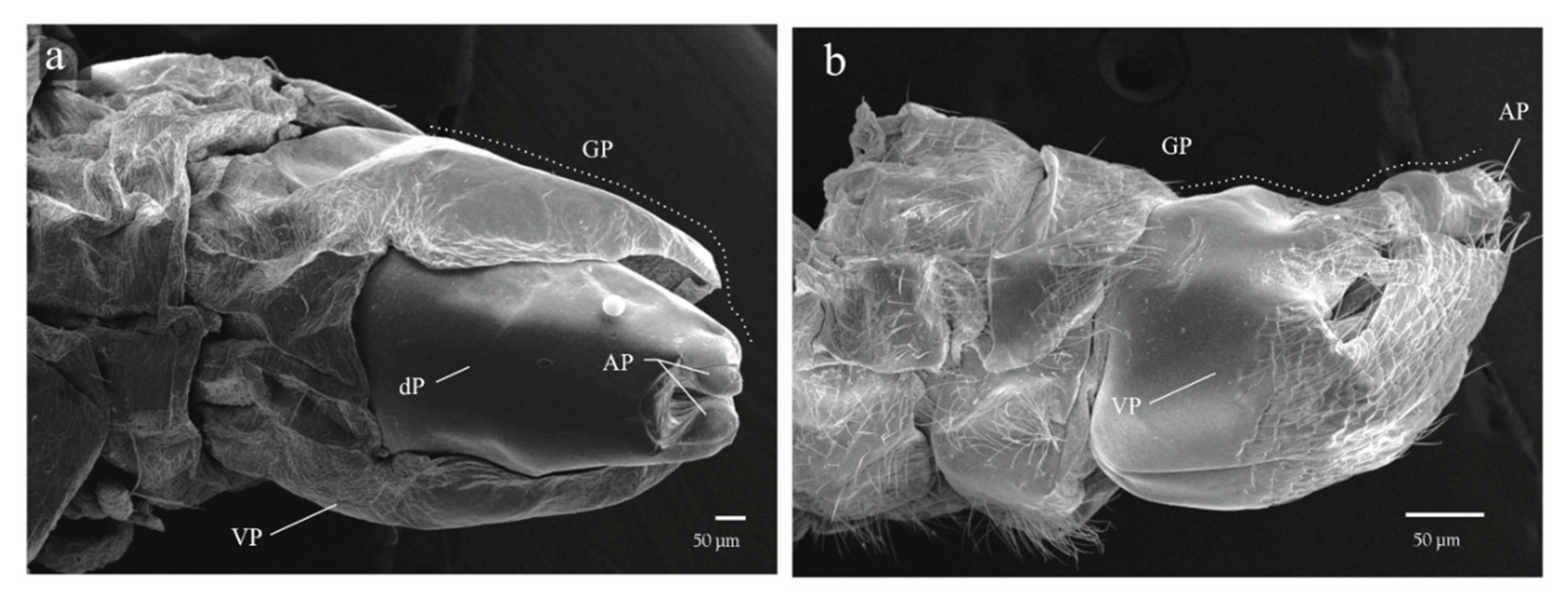 Insects 11 00096 g009