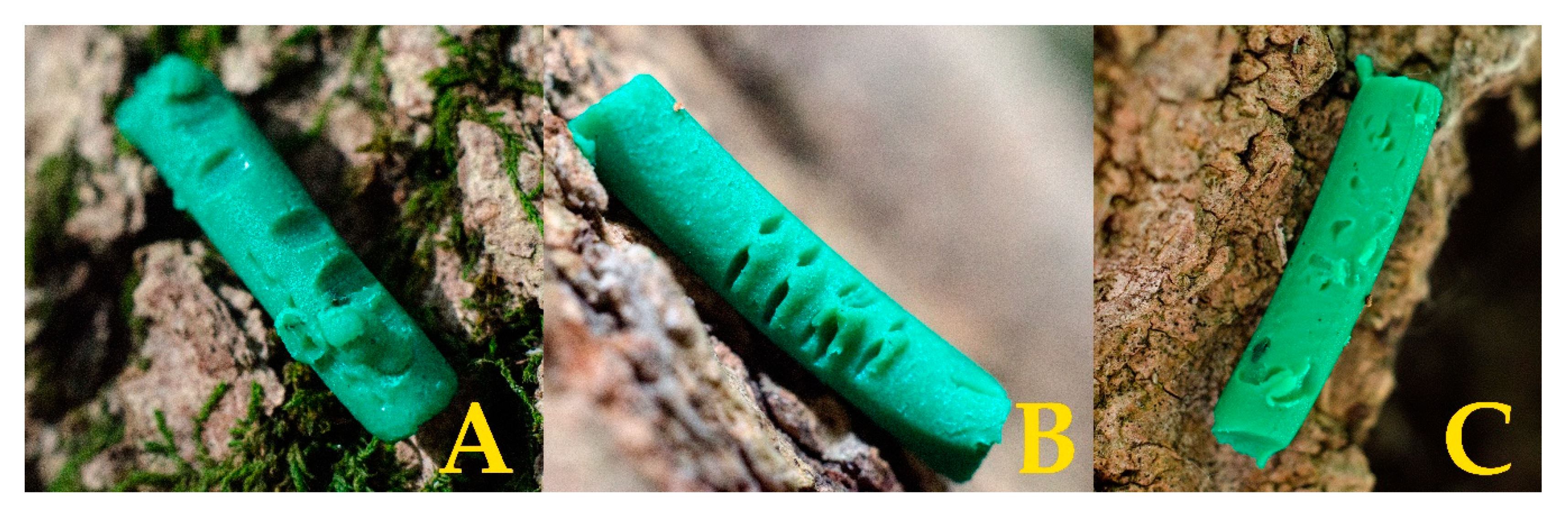 Insects 11 00097 g003