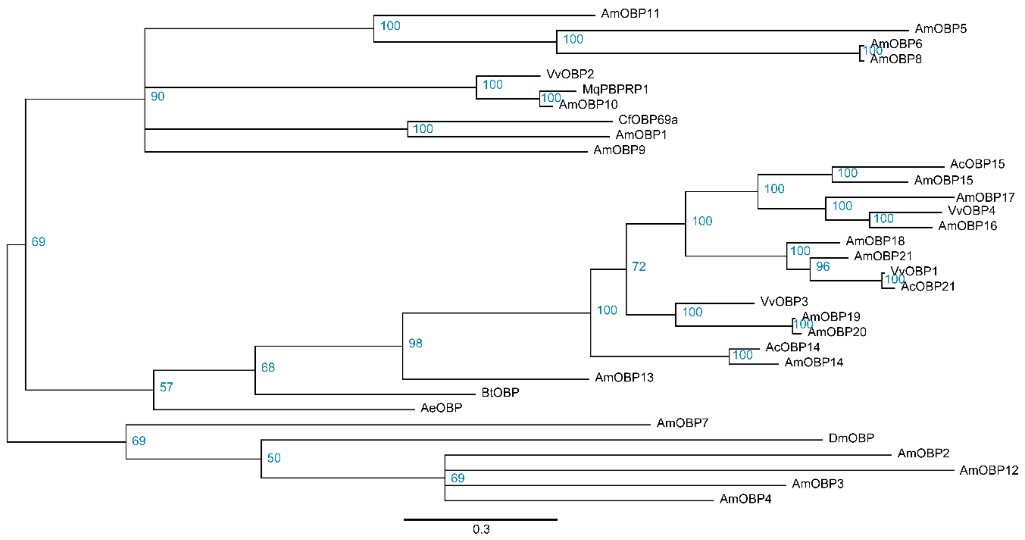 Insects 11 00101 g007
