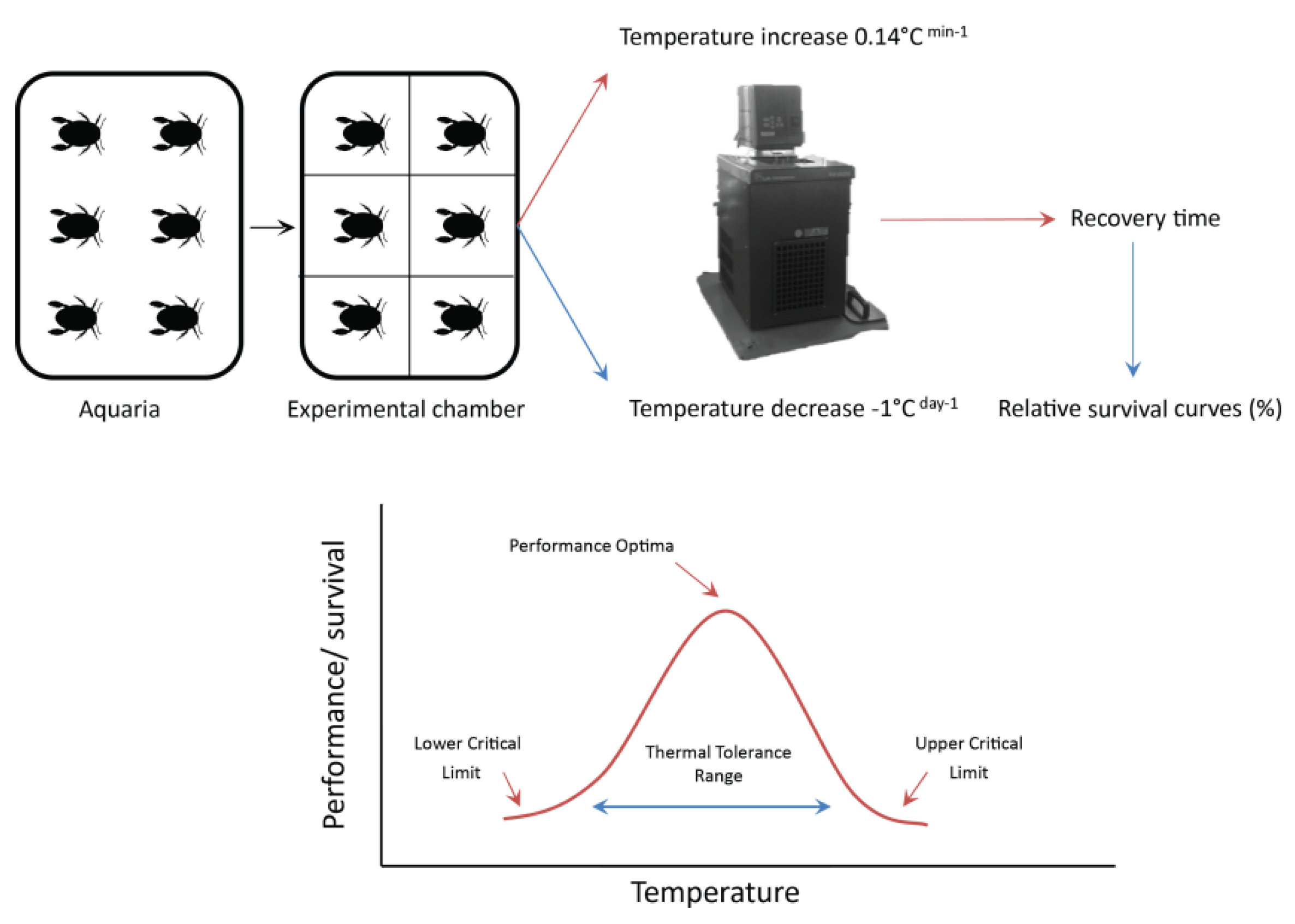 Insects 11 00102 g002