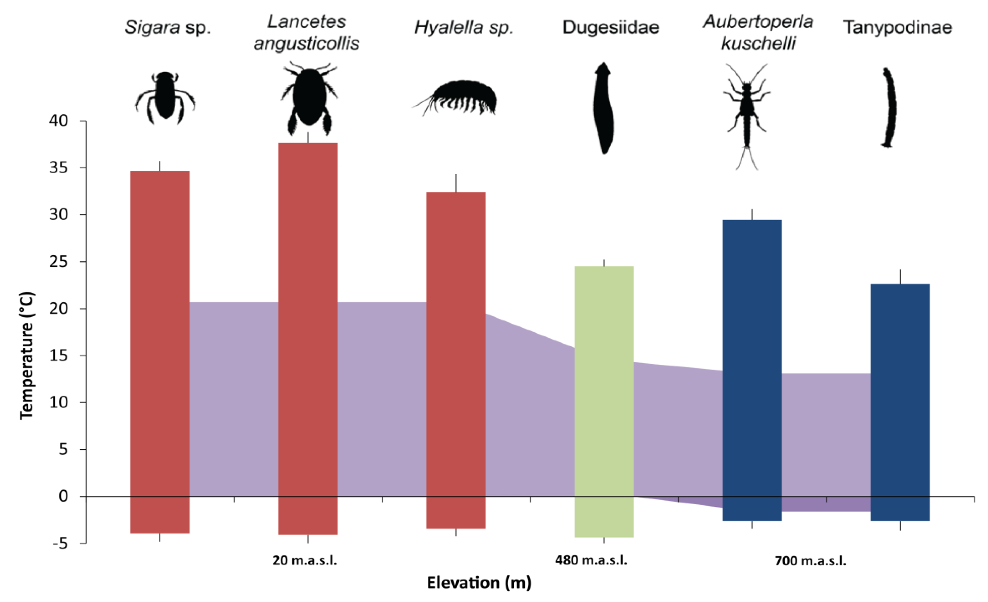Insects 11 00102 g006