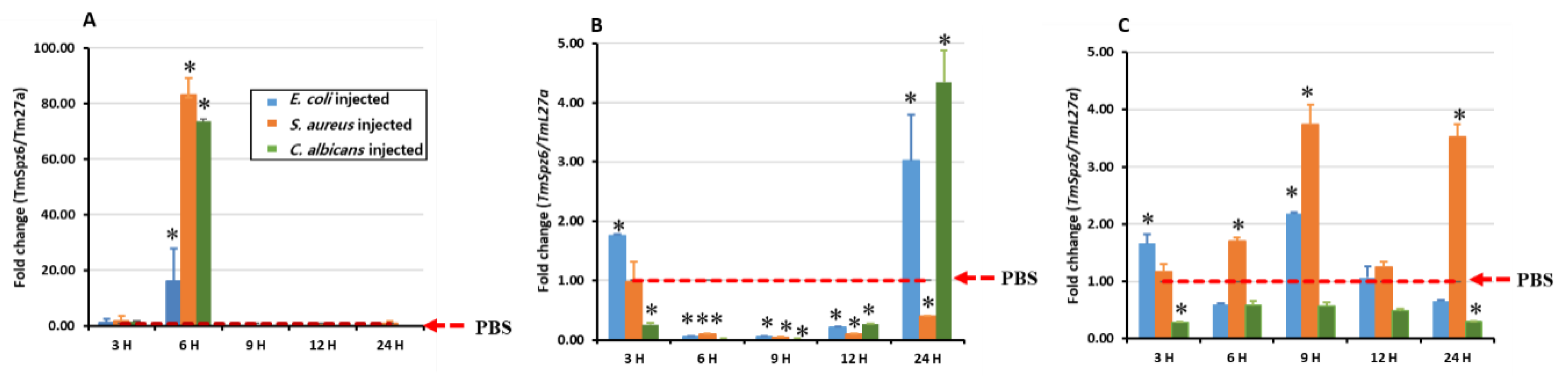 Insects 11 00105 g004