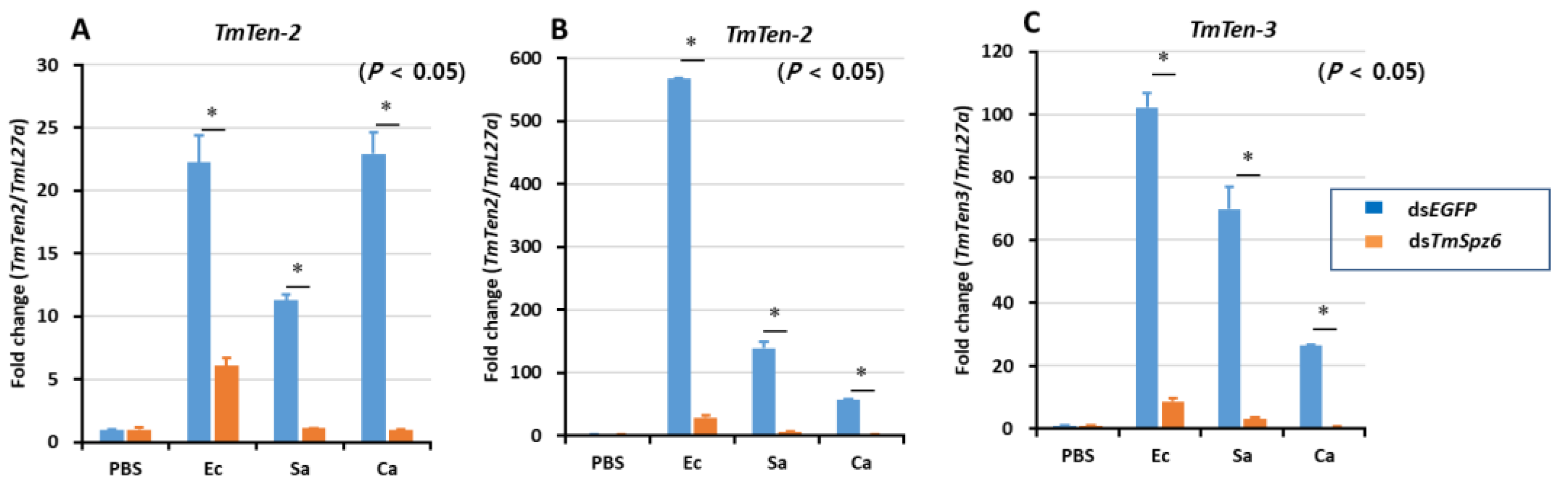 Insects 11 00105 g006
