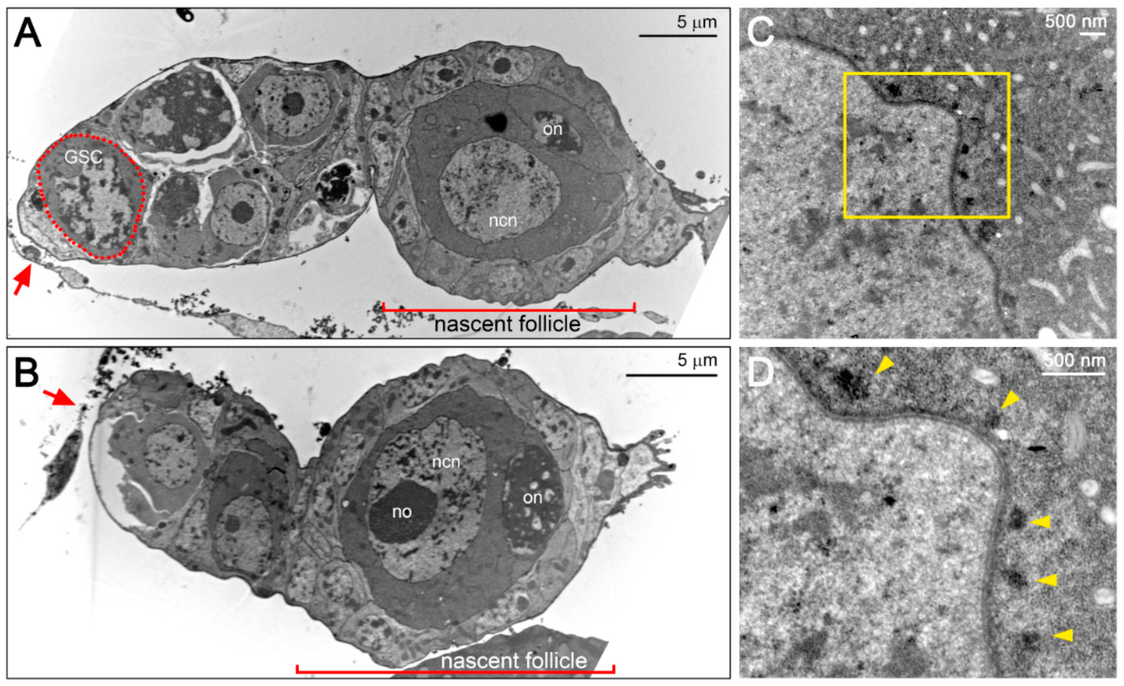 Insects 11 00106 g006