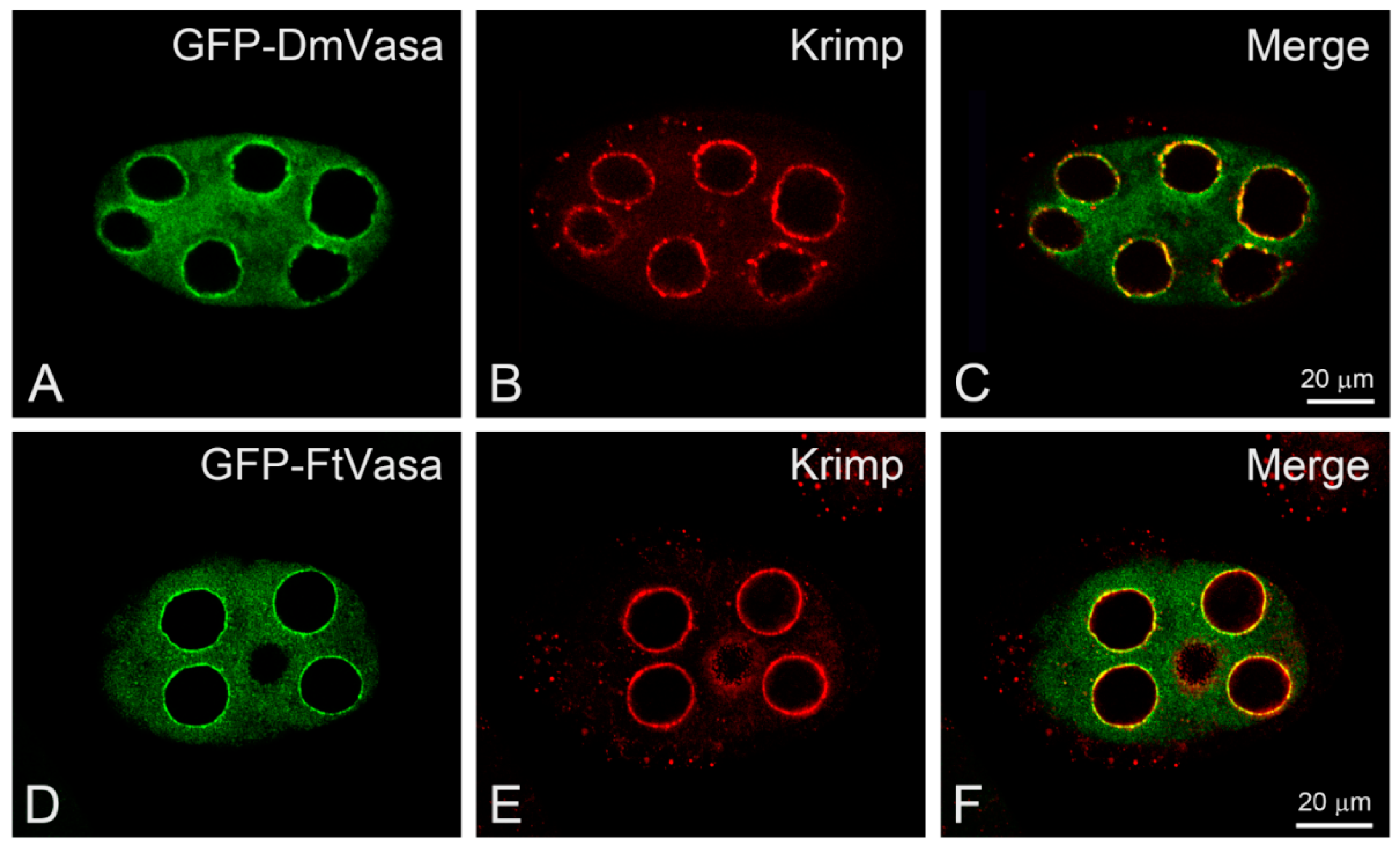 Insects 11 00106 g008