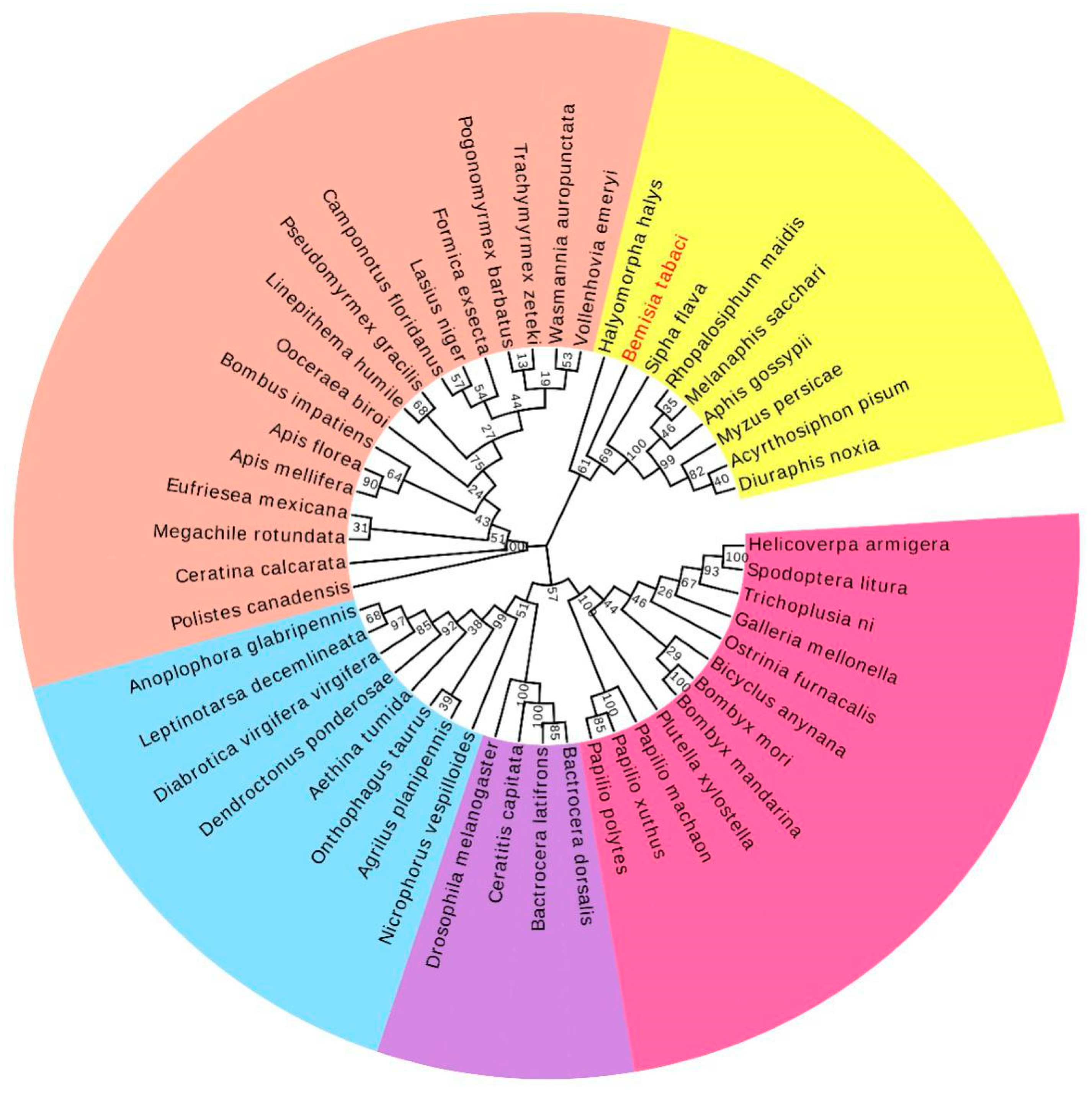Insects 11 00113 g004