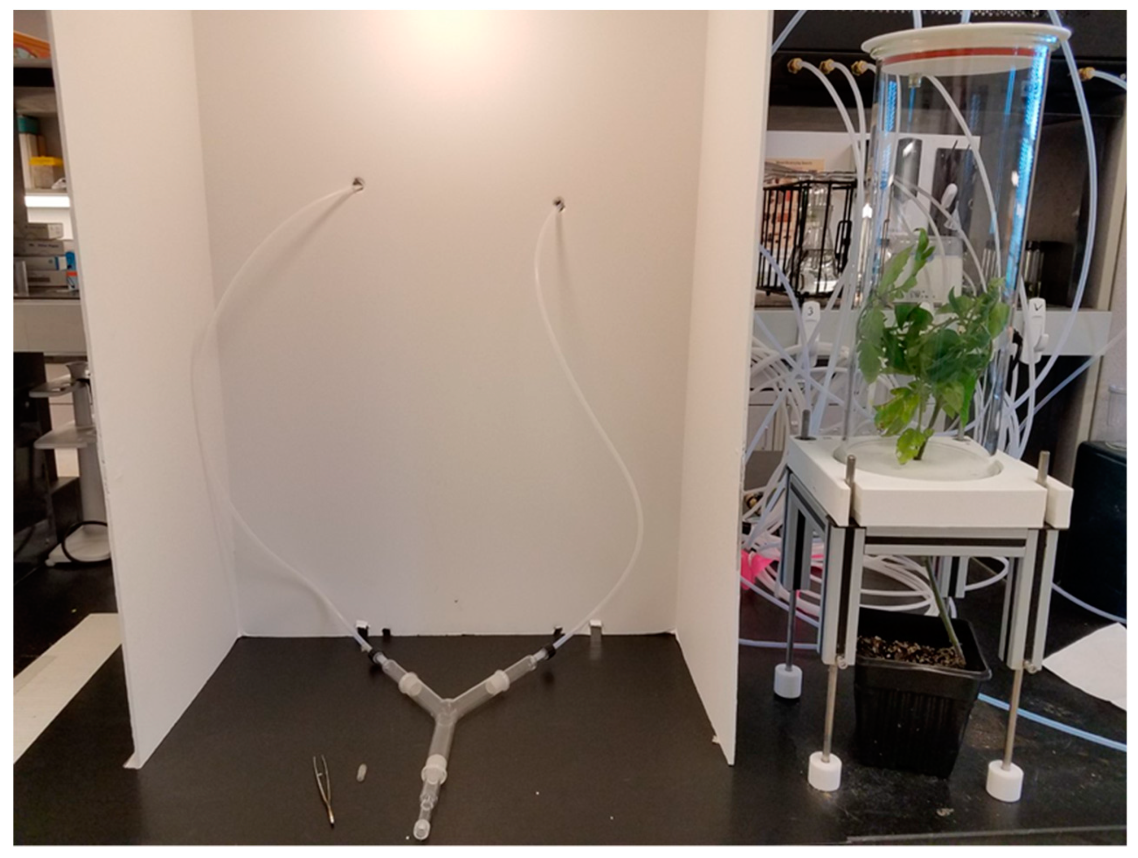 Insects 11 00115 g001