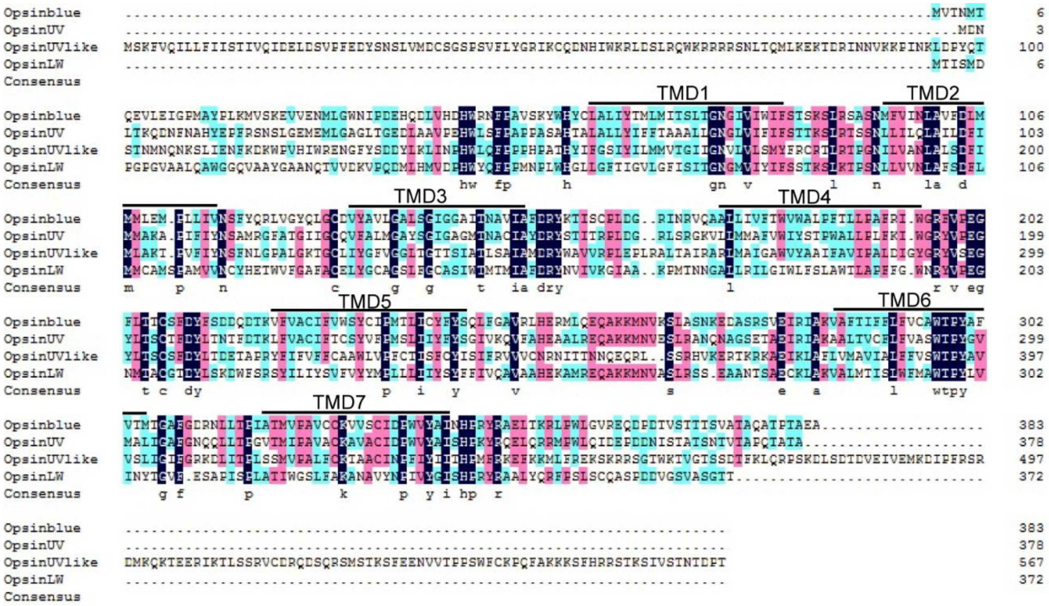 Insects 11 00116 g001