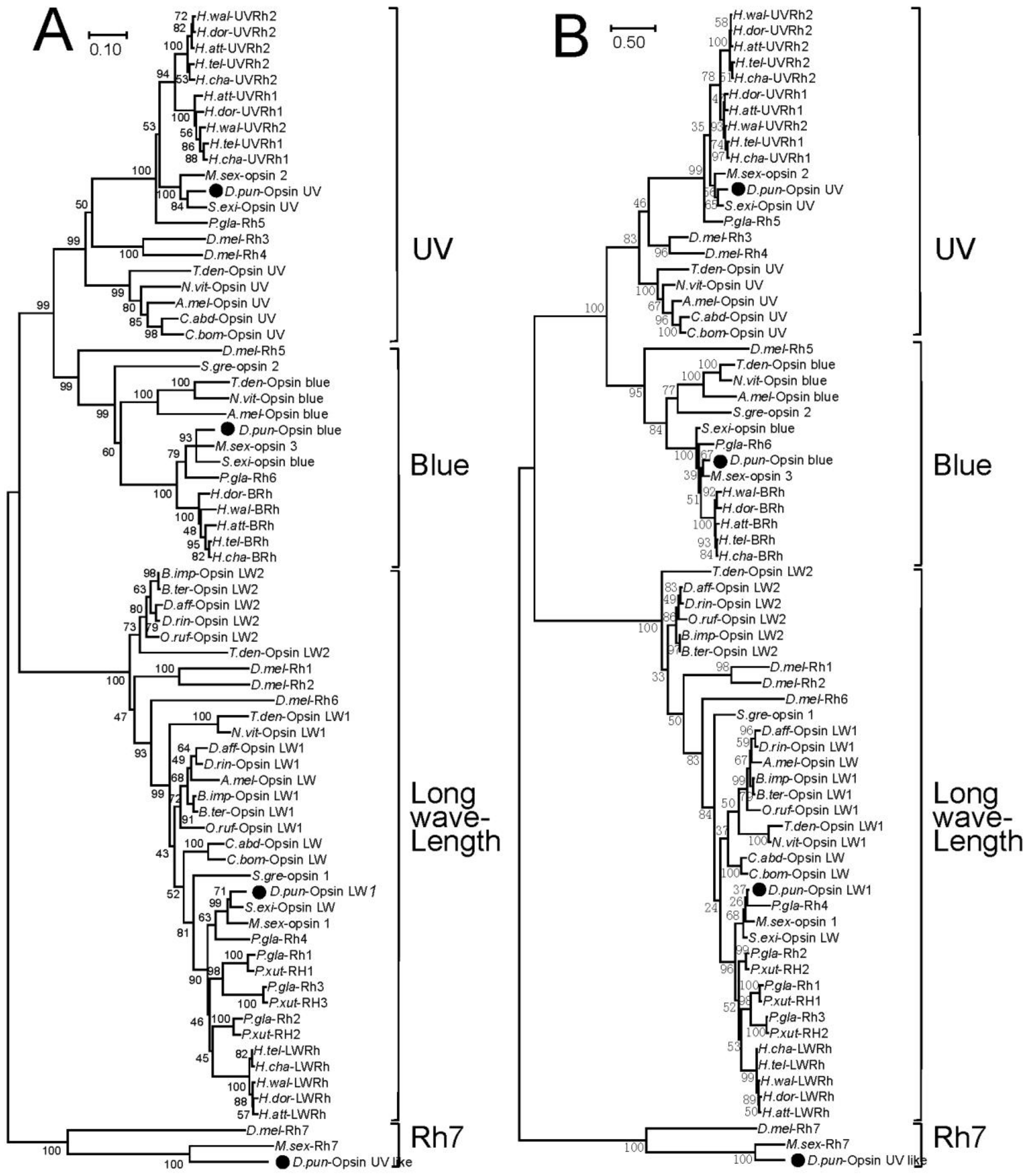 Insects 11 00116 g002
