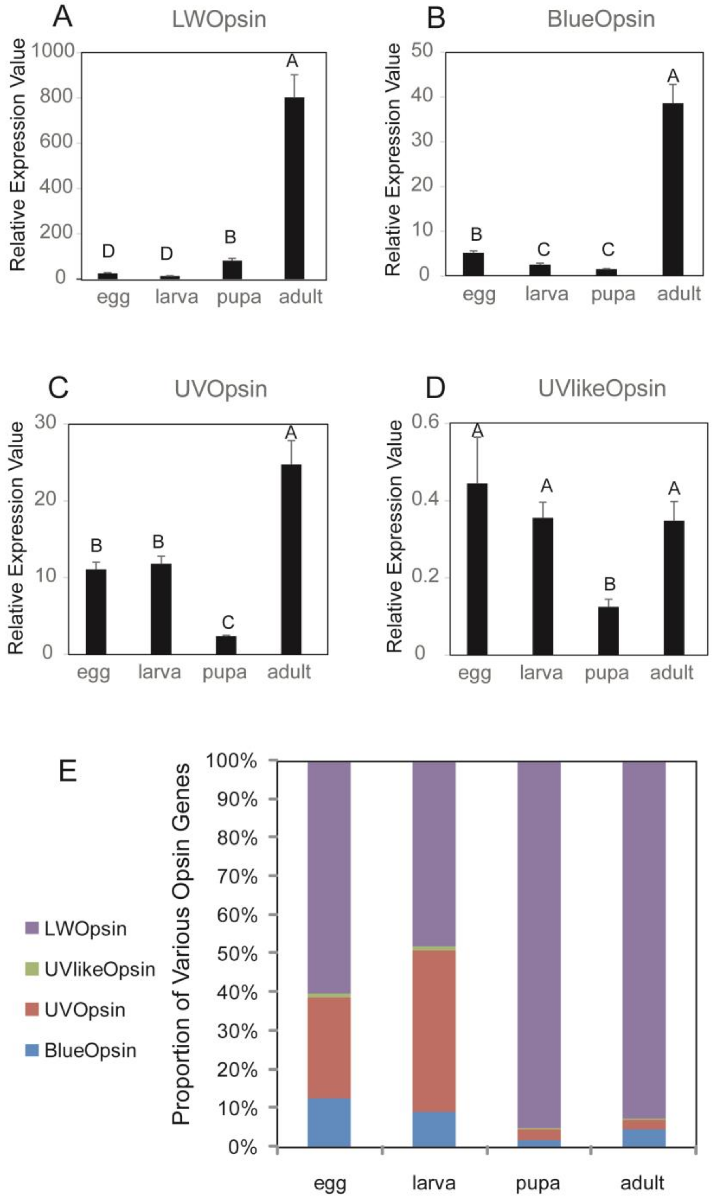 Insects 11 00116 g003
