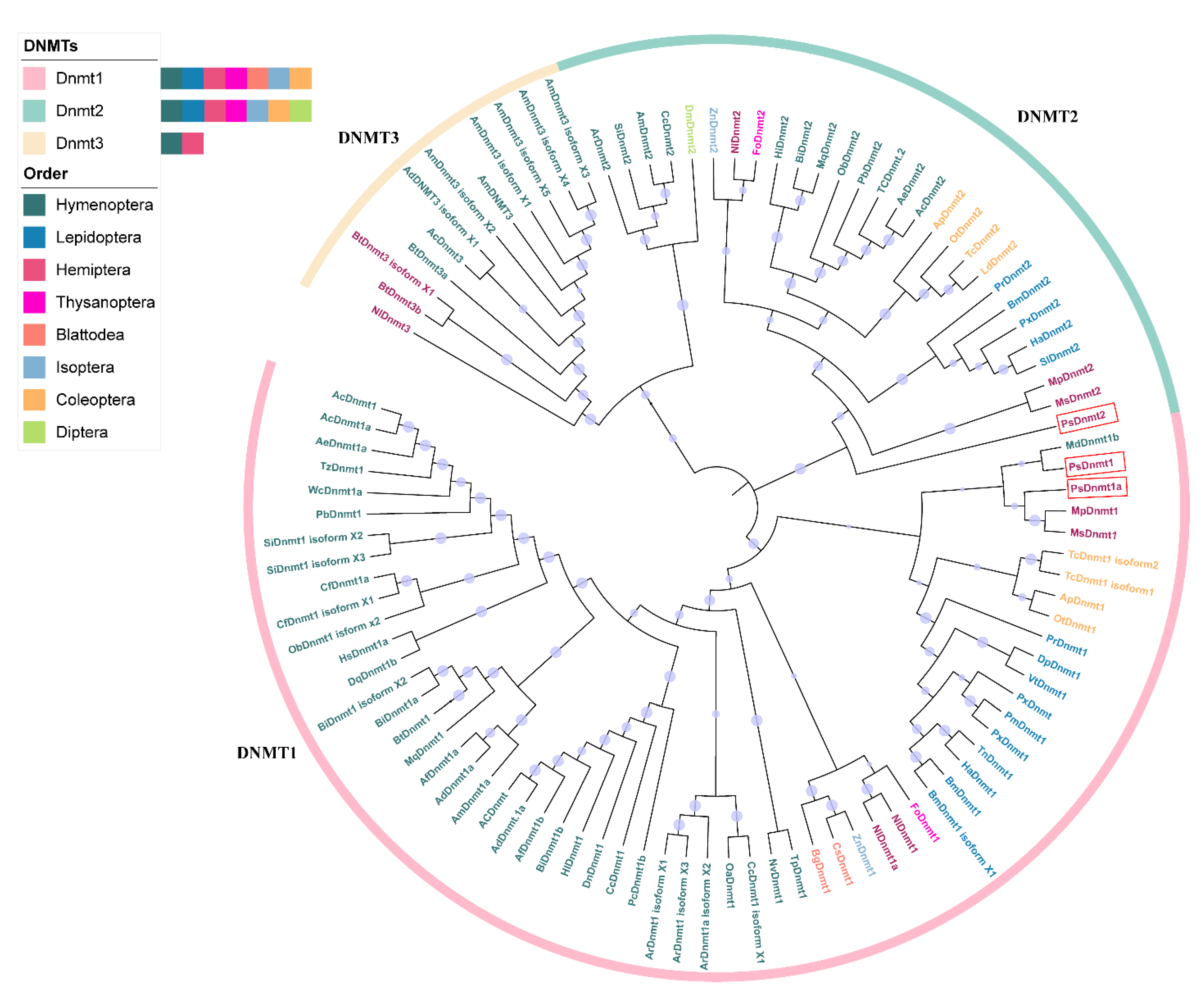 Insects 11 00121 g001