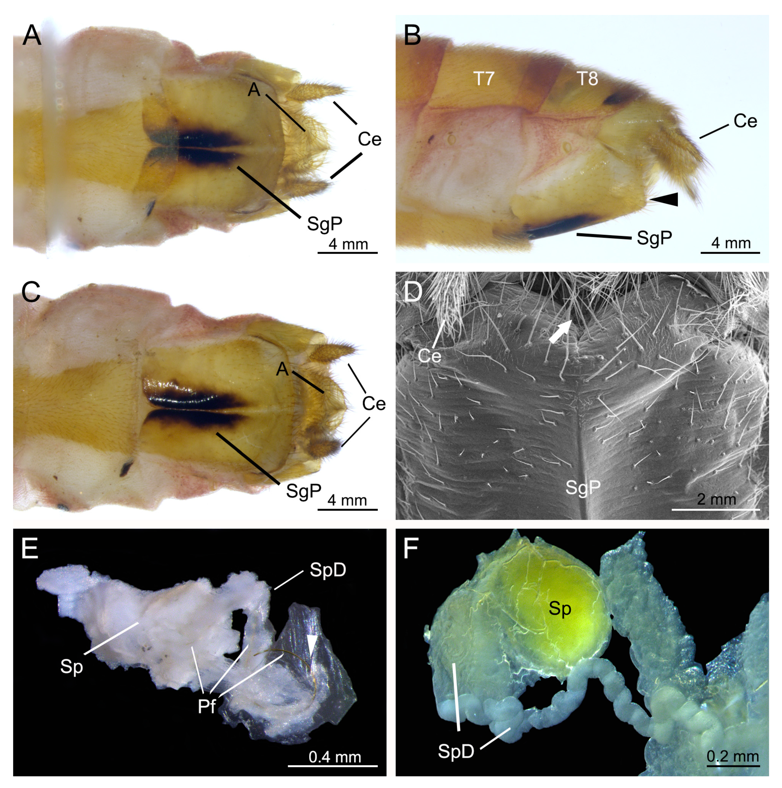 Insects 11 00123 g002