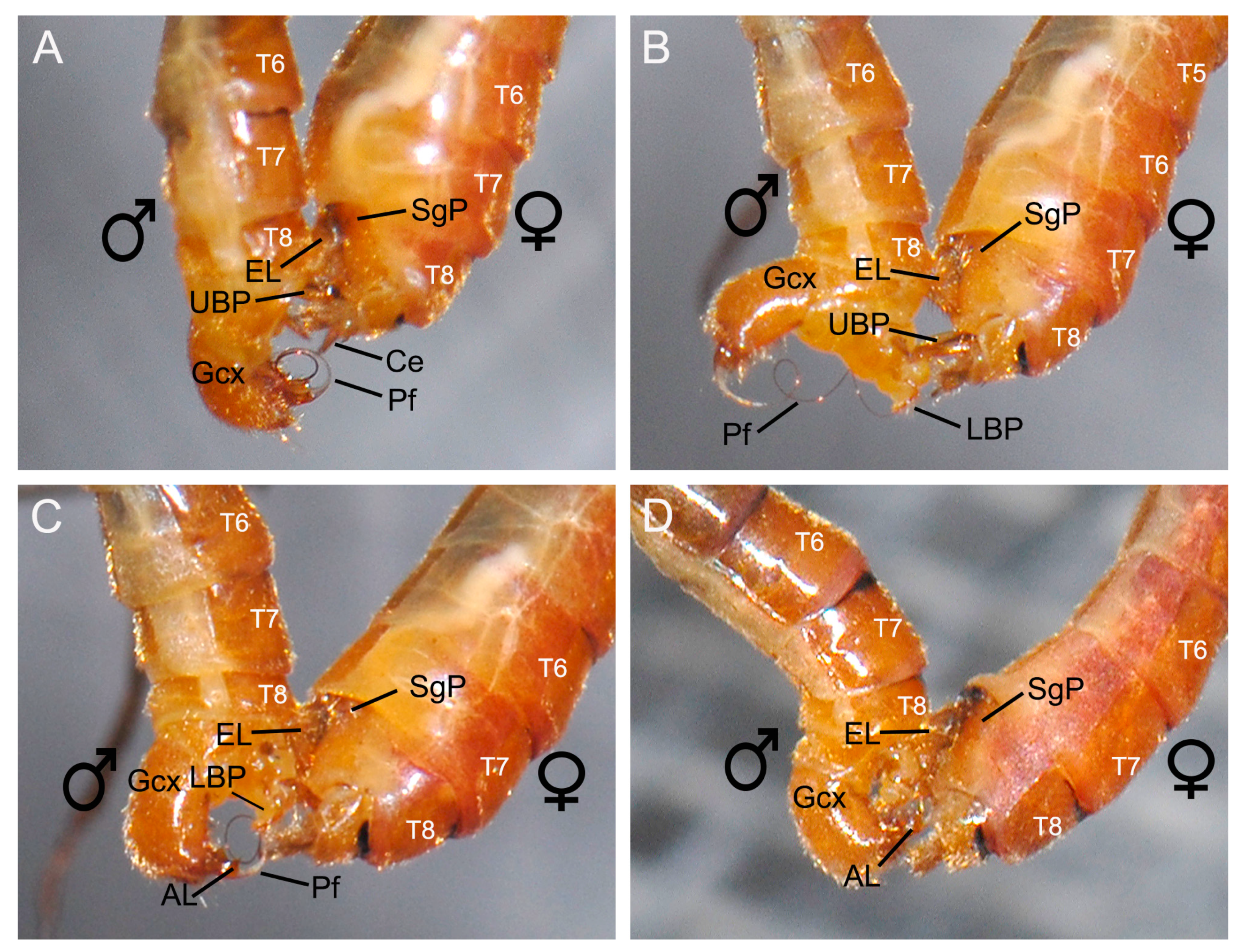 Insects 11 00123 g005