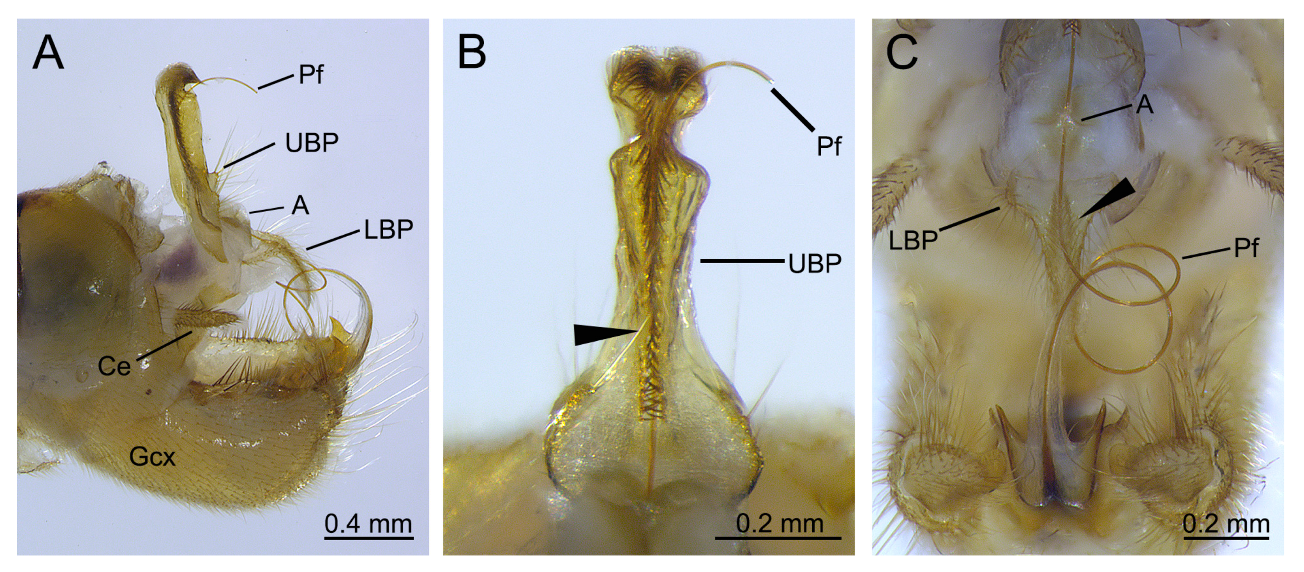 Insects 11 00123 g006