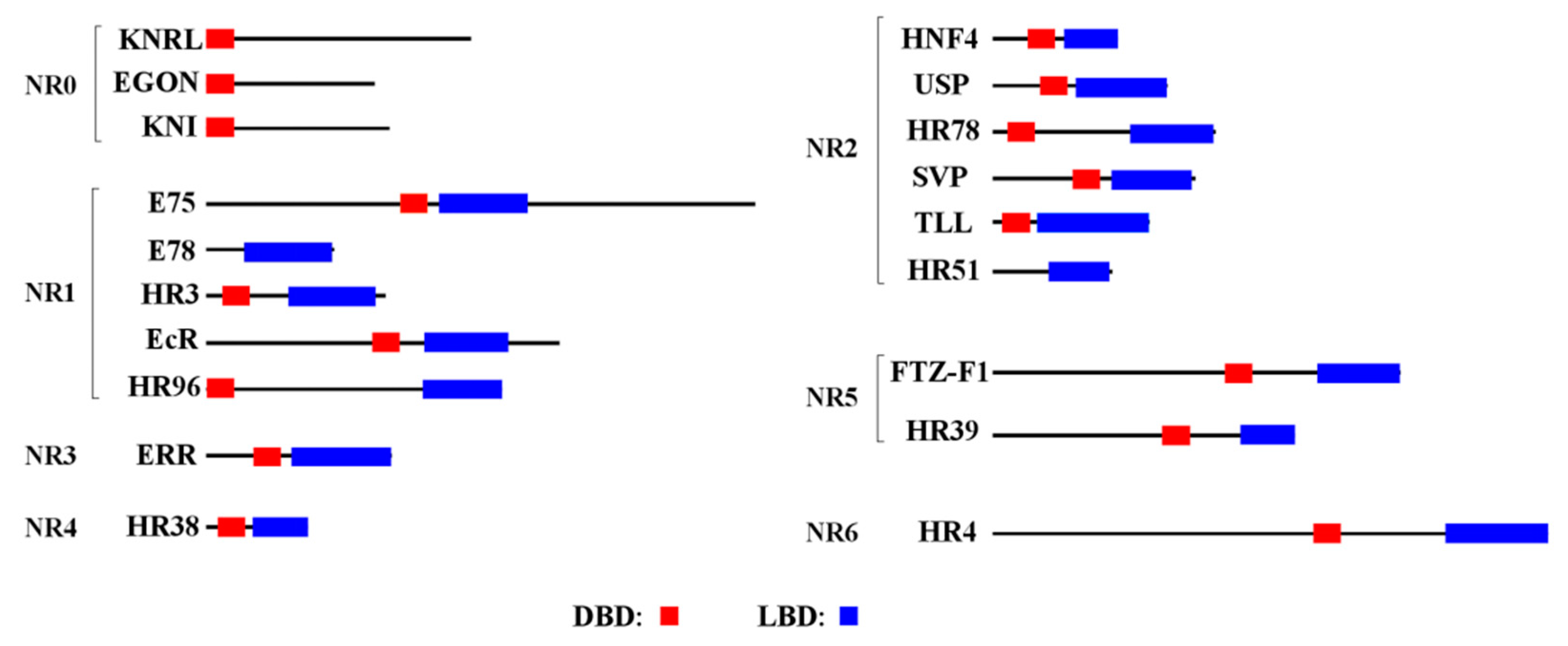 Insects 11 00126 g001