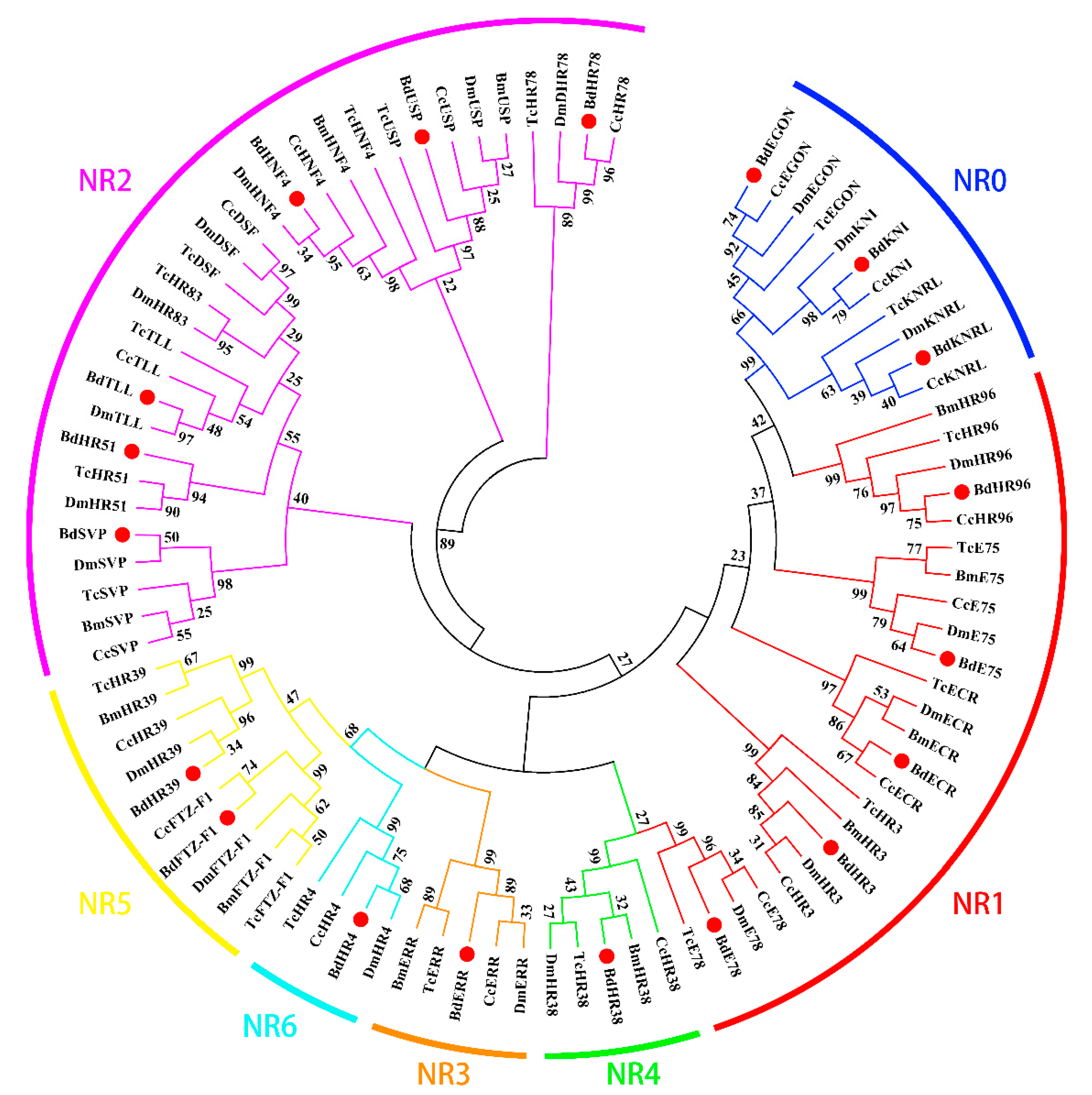 Insects 11 00126 g002