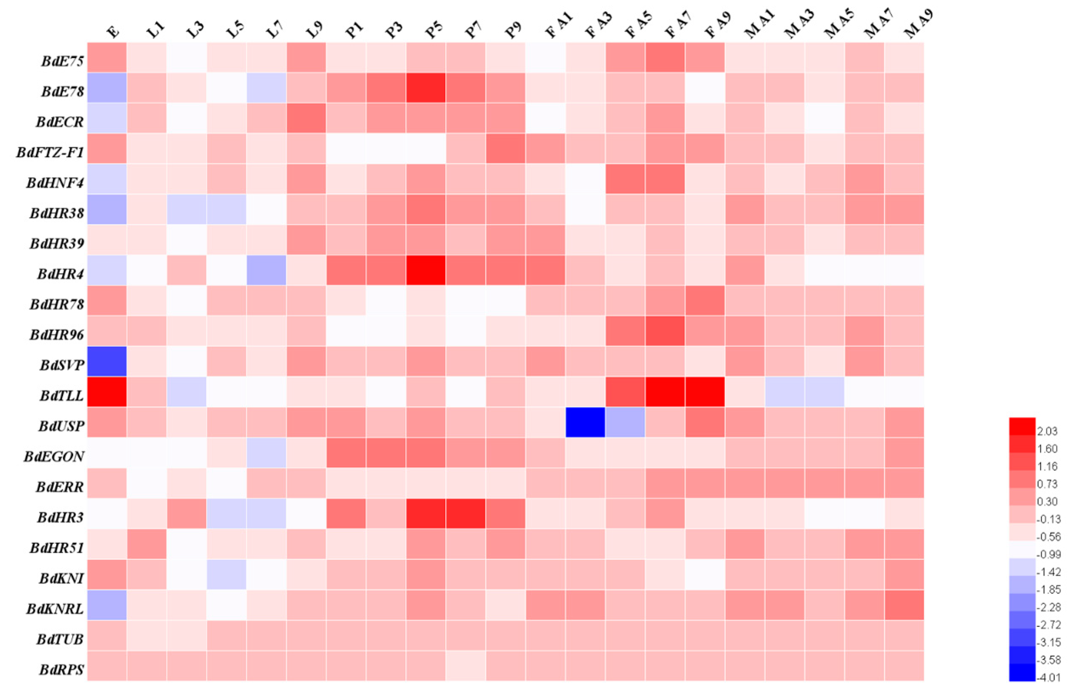 Insects 11 00126 g003