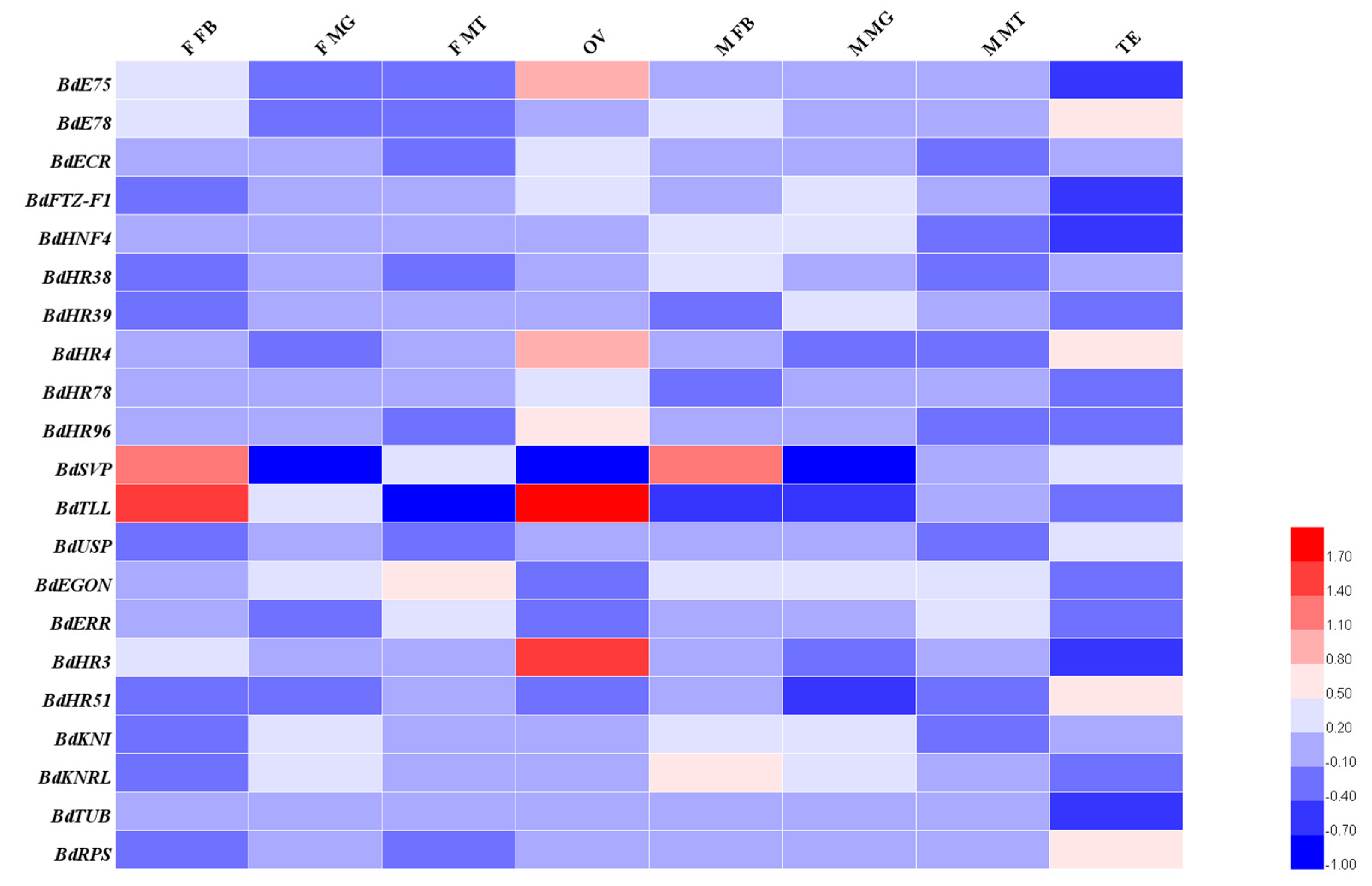 Insects 11 00126 g004