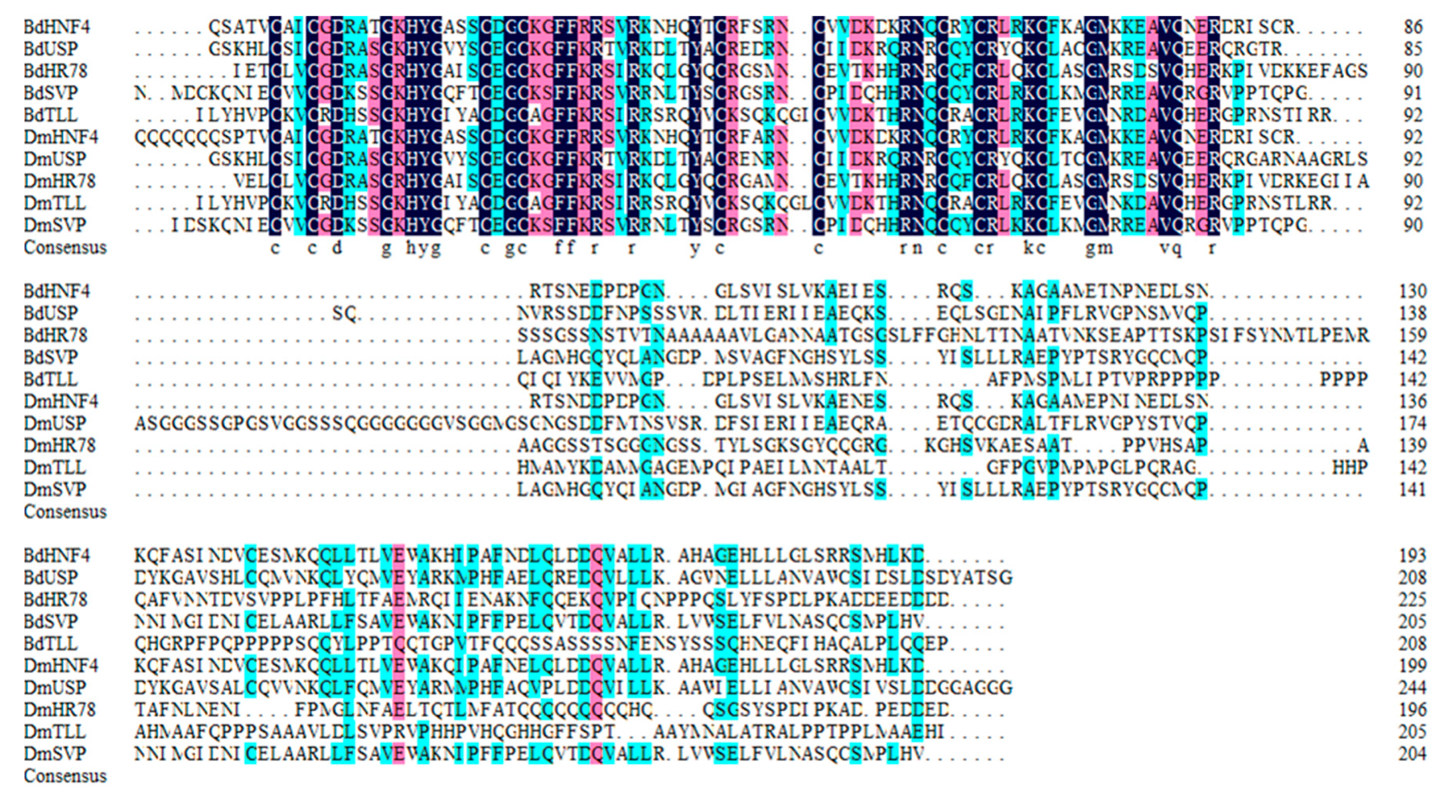 Insects 11 00126 g008