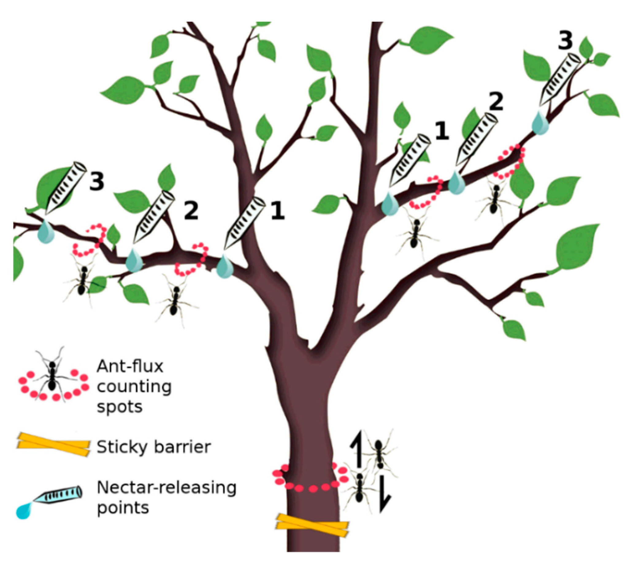 Insects 11 00129 g002