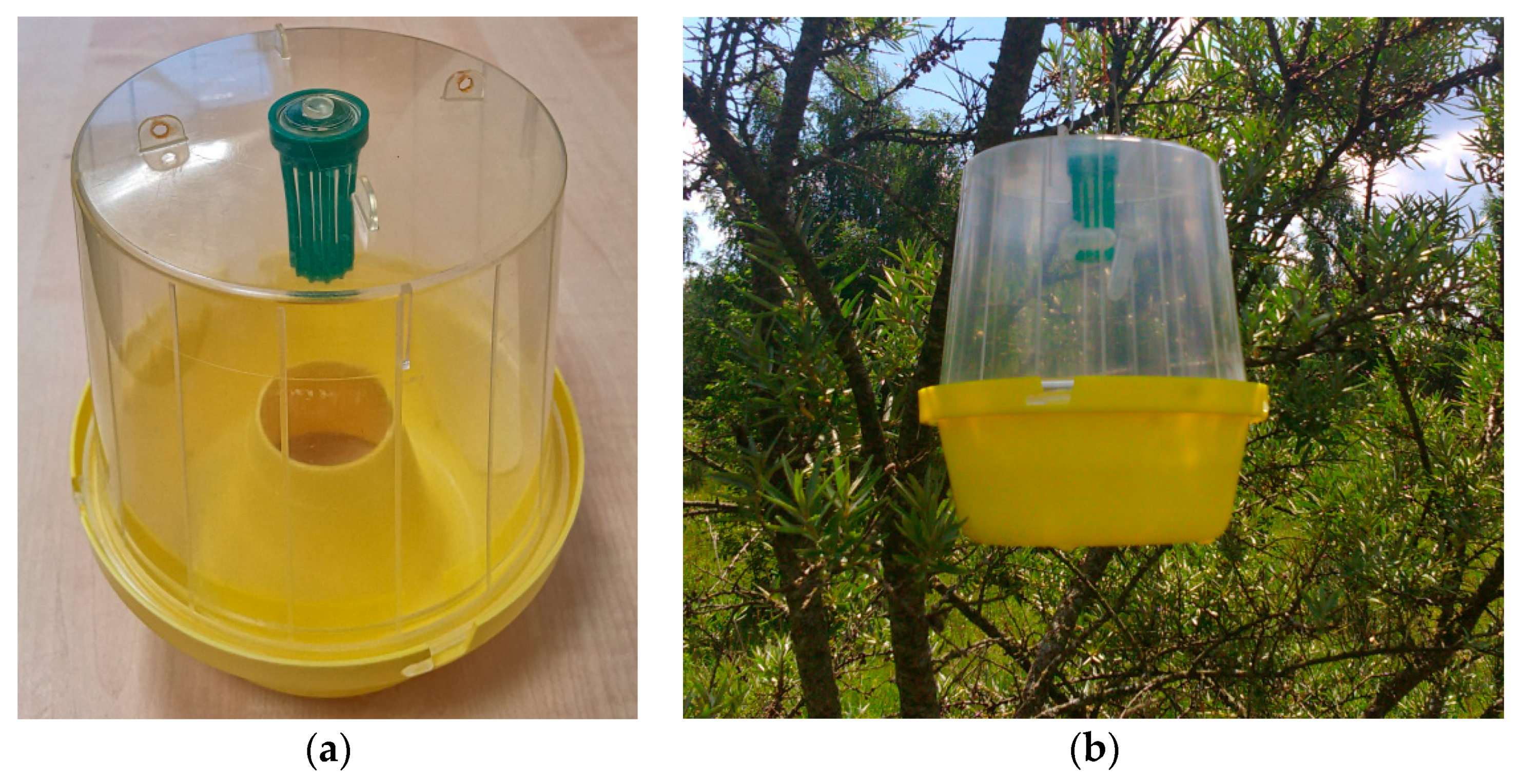 Insects 11 00138 g002 Insects 11 00138 g002