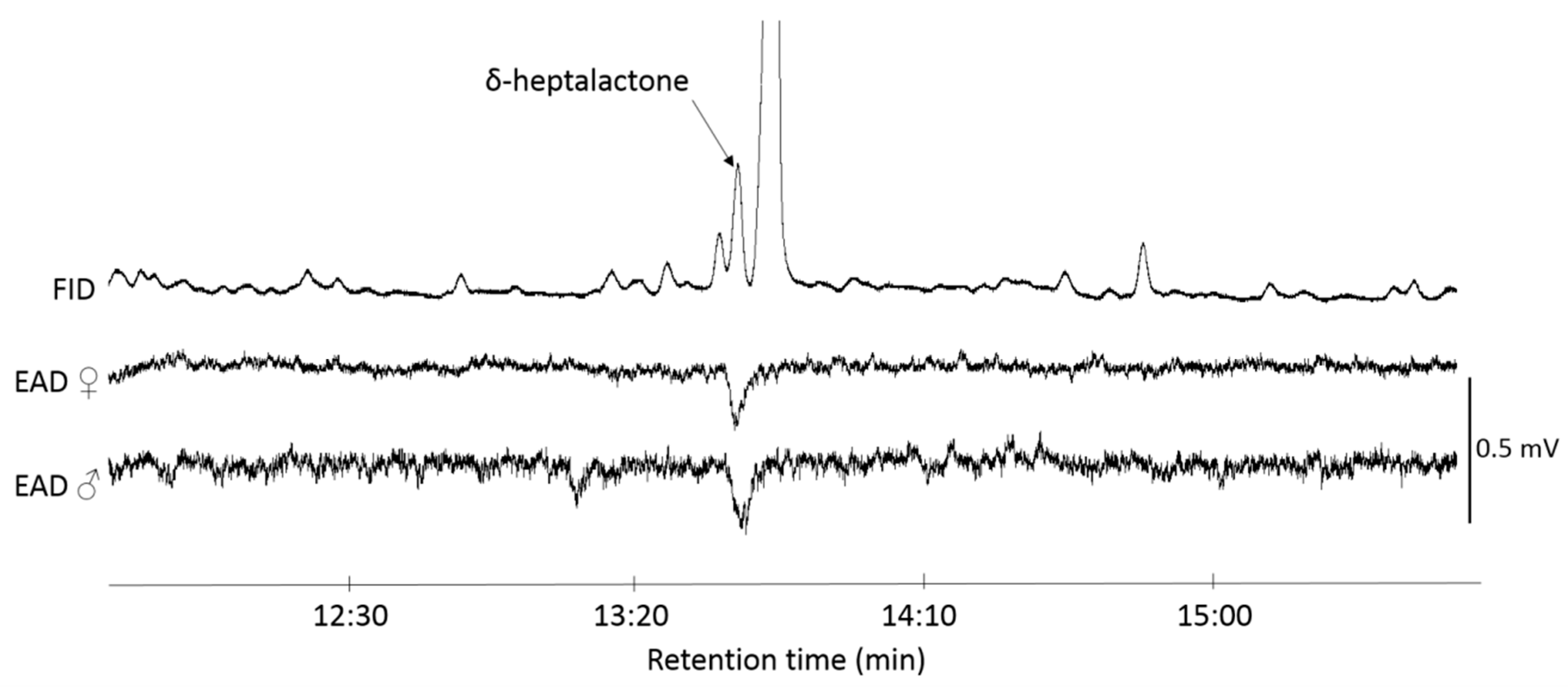 Insects 11 00138 g003 Insects 11 00138 g003