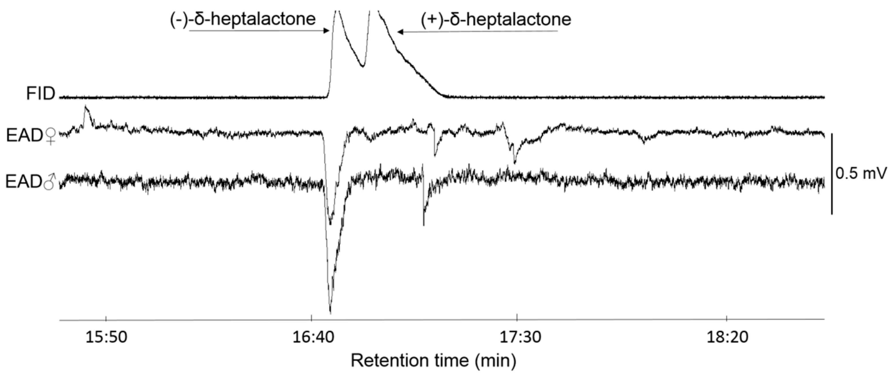 Insects 11 00138 g004 Insects 11 00138 g004