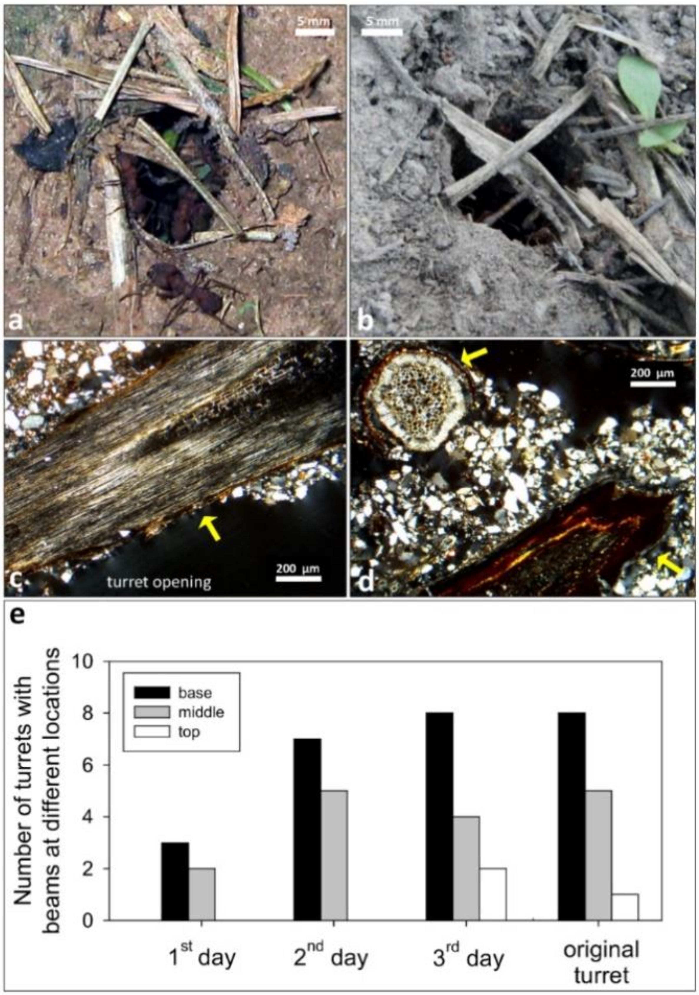 Insects 11 00140 g006