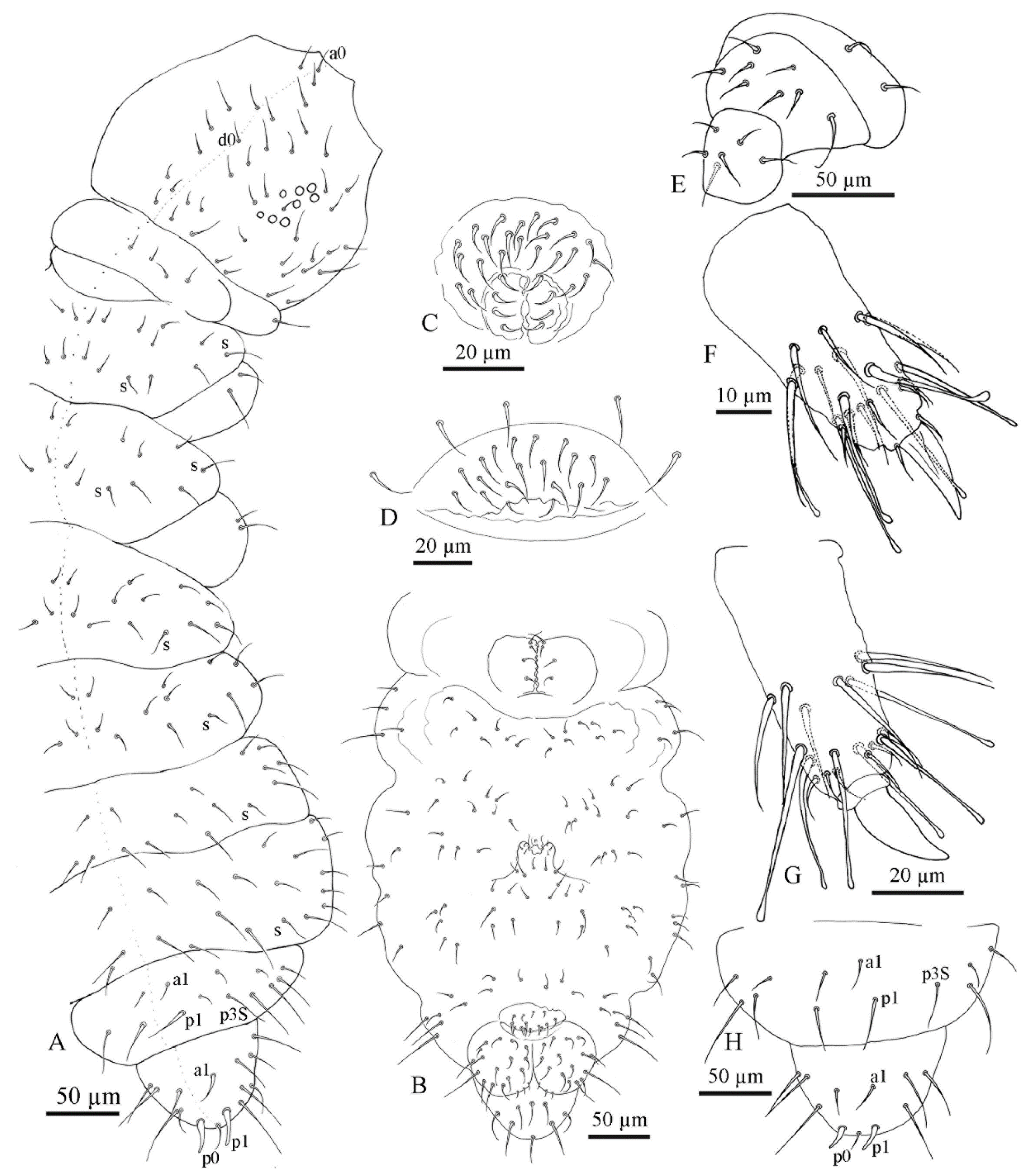 Insects 11 00141 g004 Insects 11 00141 g004