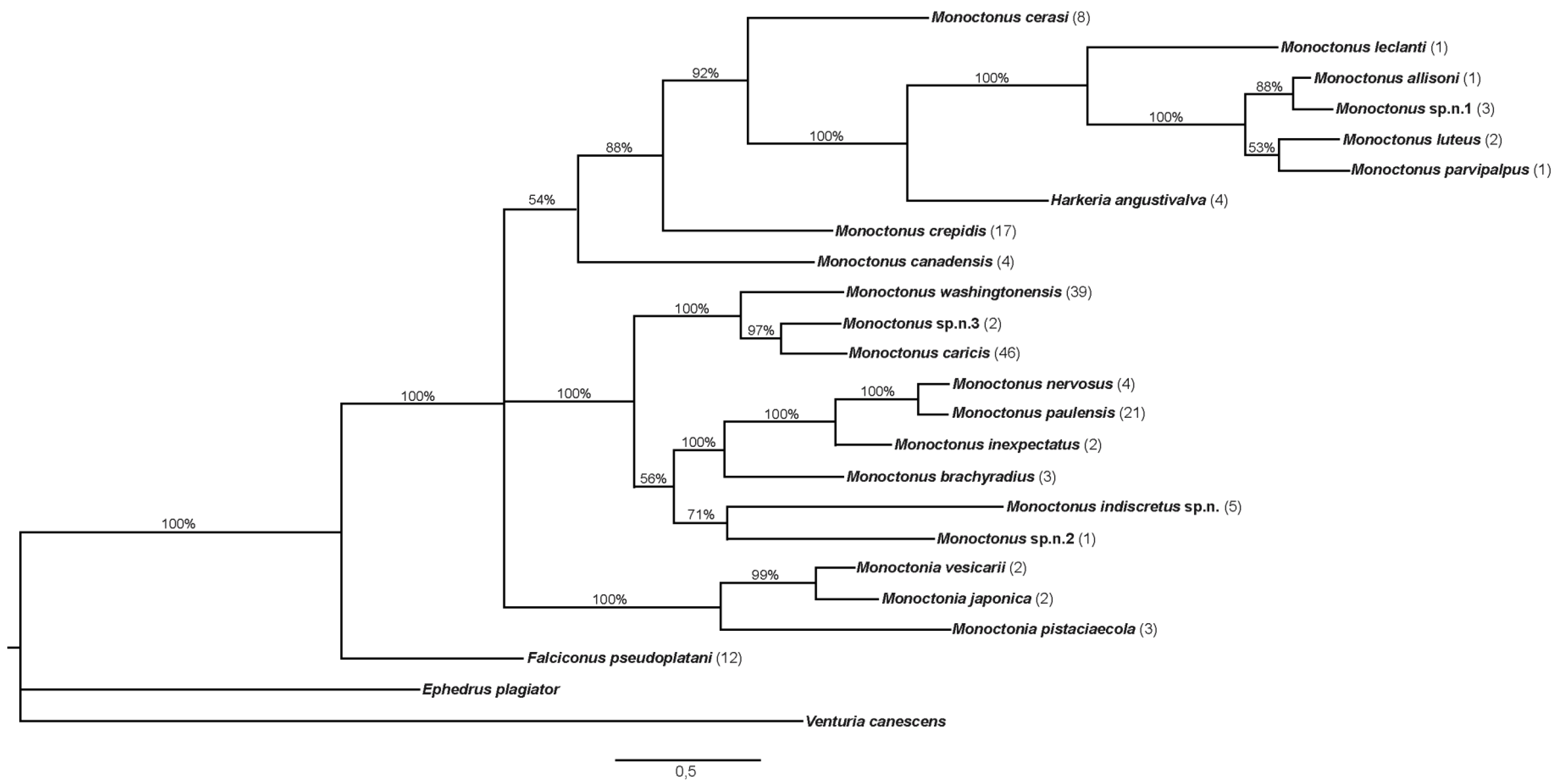 Insects 11 00160 g004