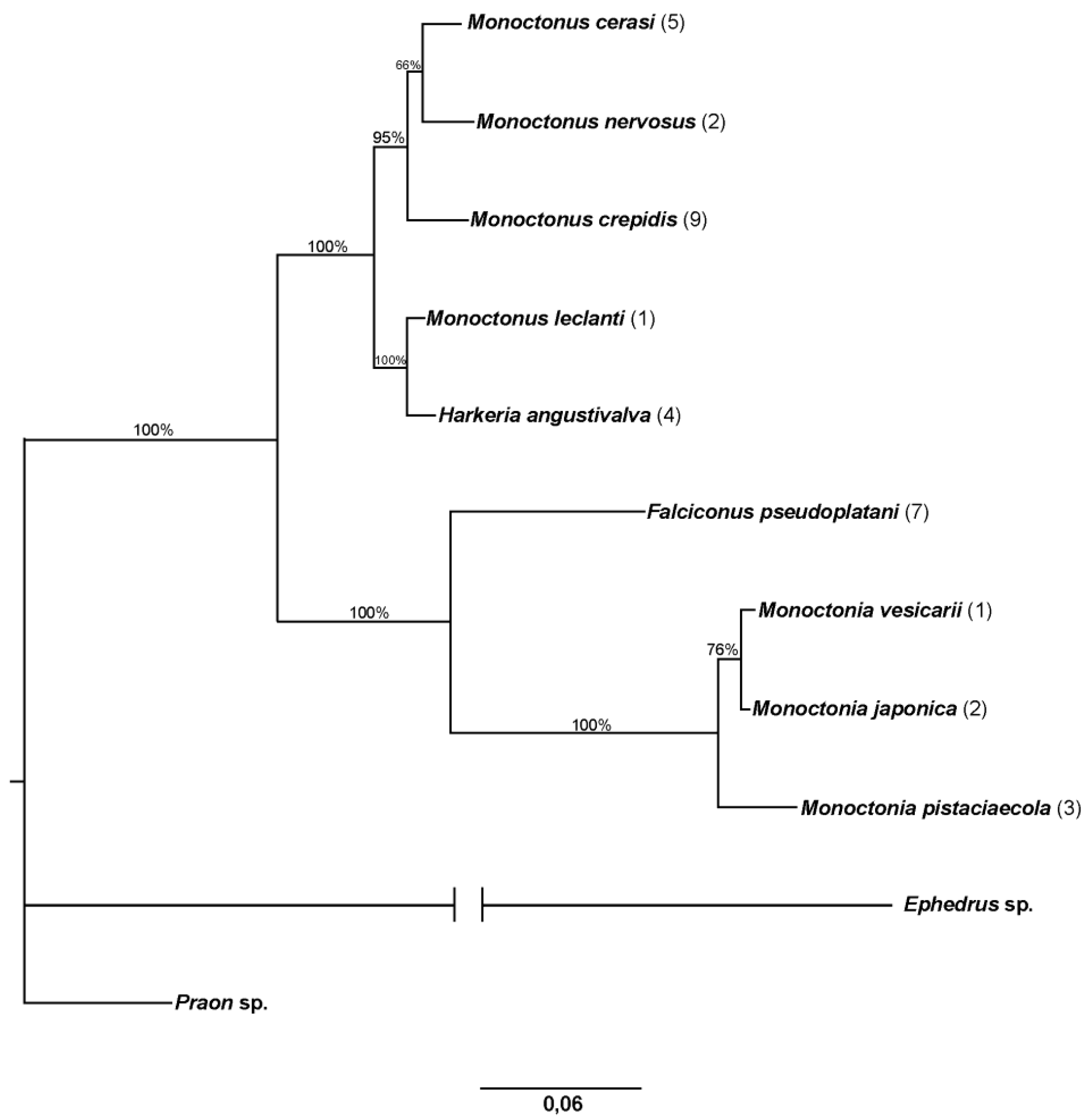 Insects 11 00160 g005