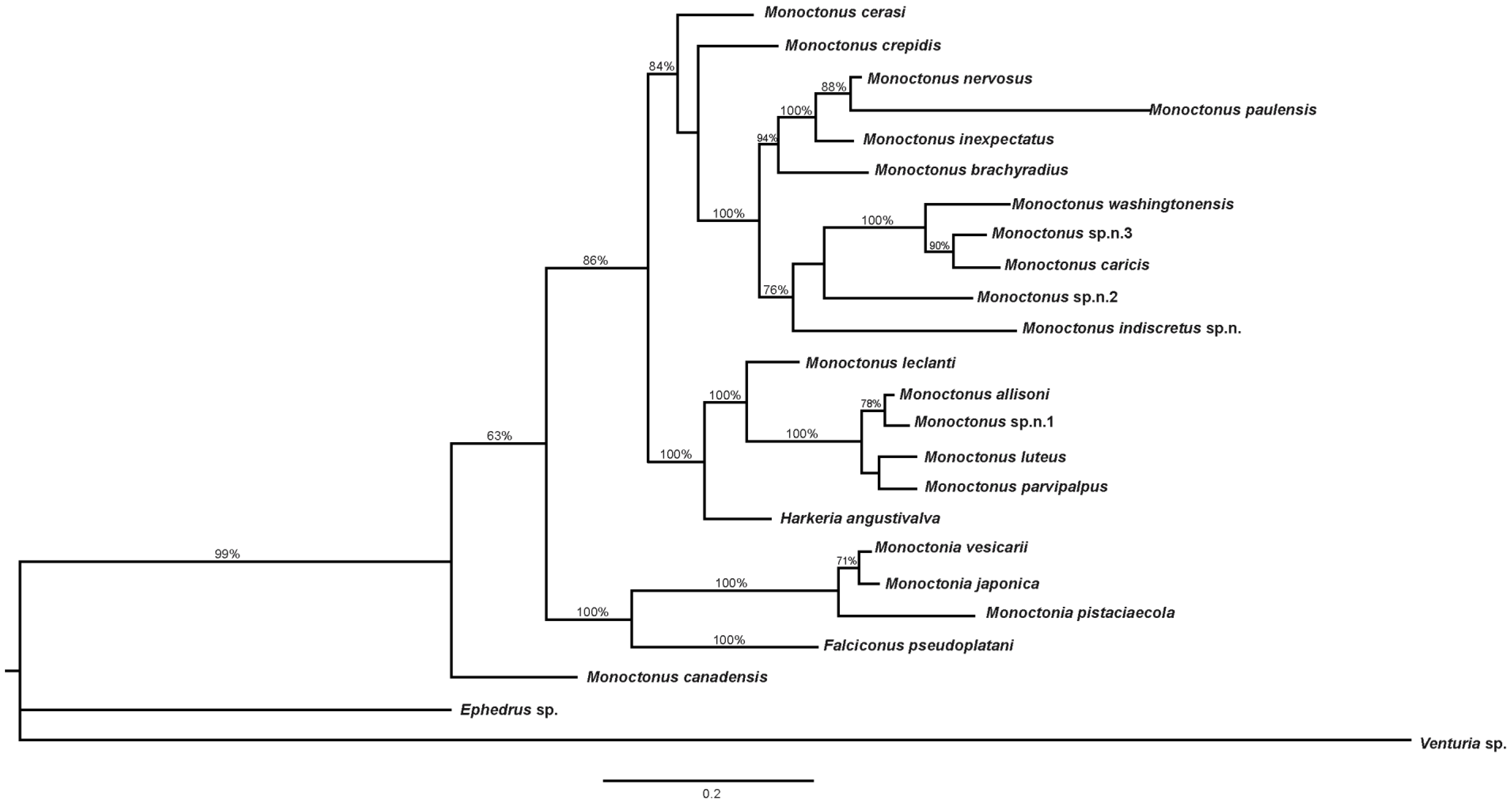 Insects 11 00160 g006