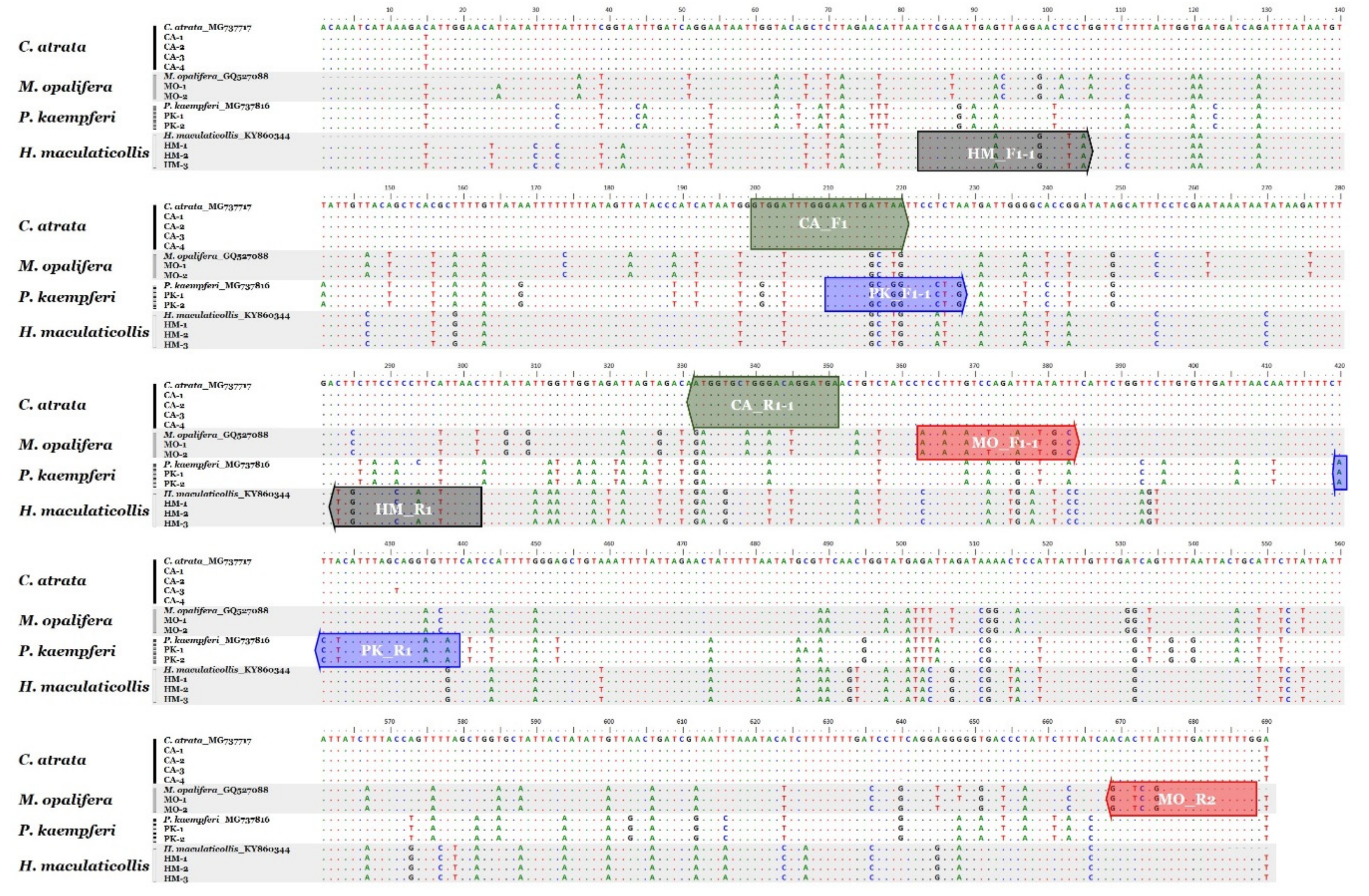 Insects 11 00168 g001