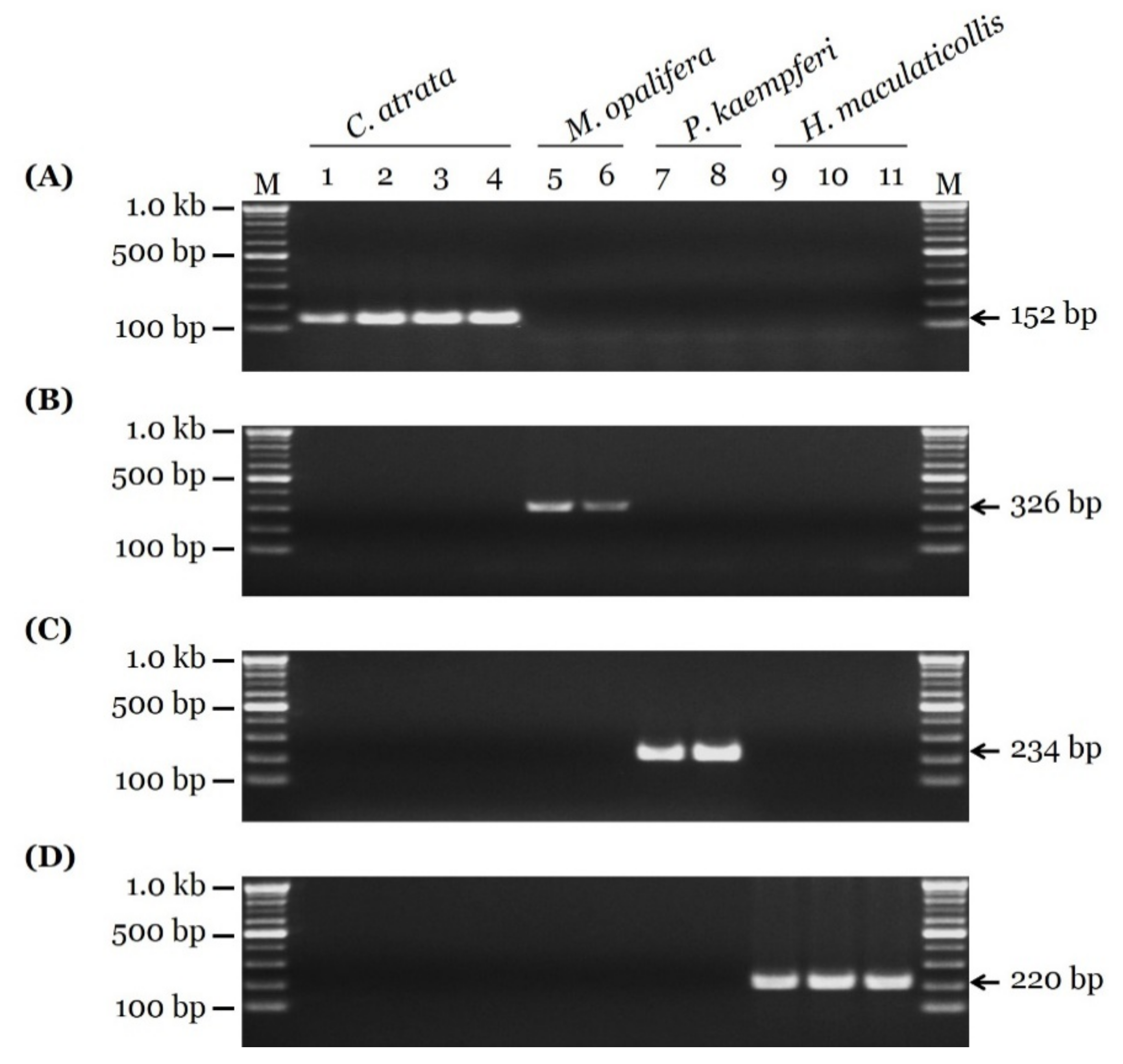 Insects 11 00168 g002
