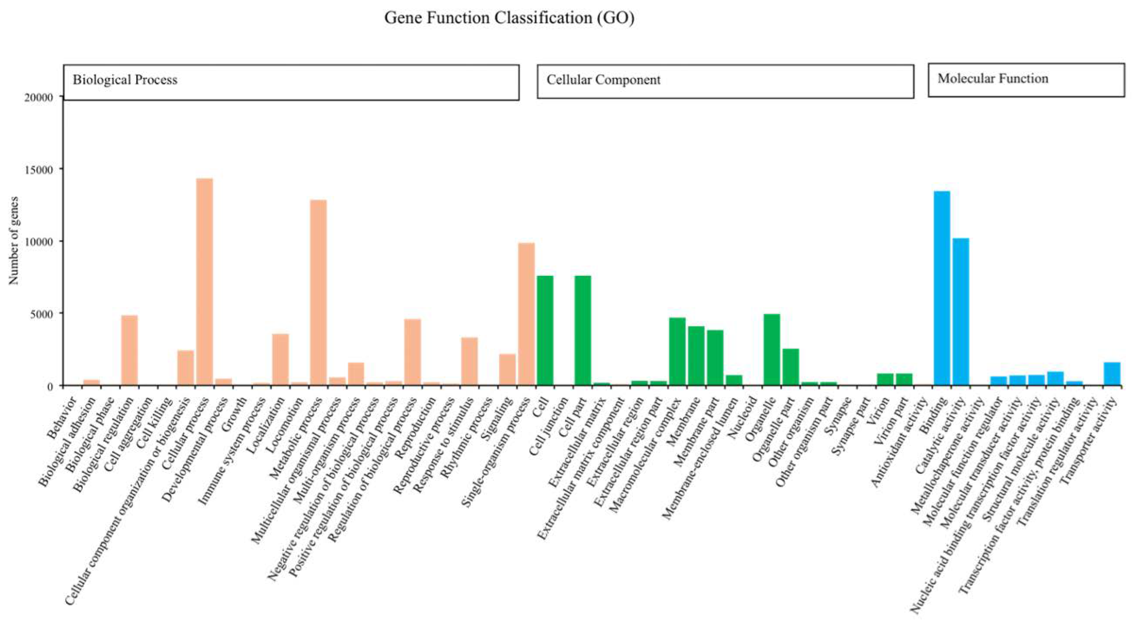 Insects 11 00176 g001