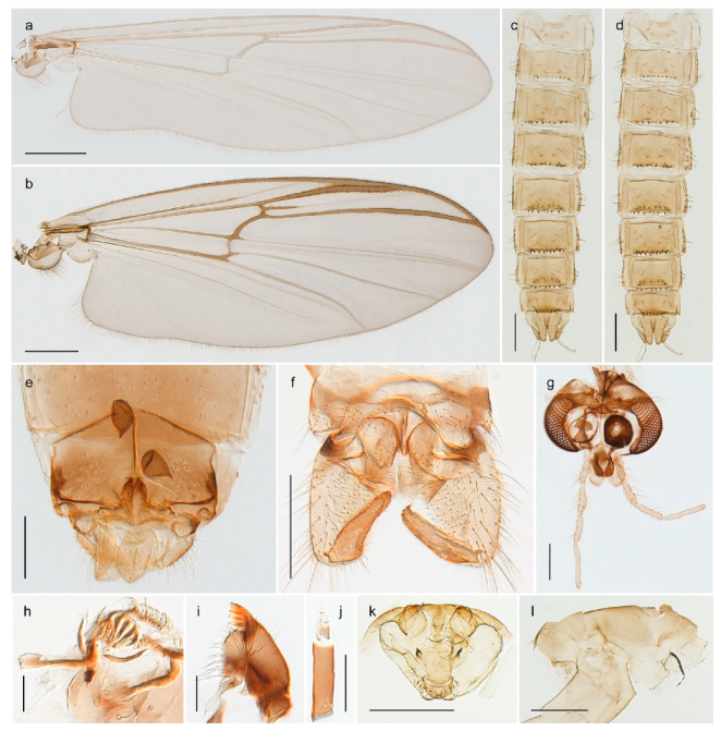 Insects 11 00183 g005