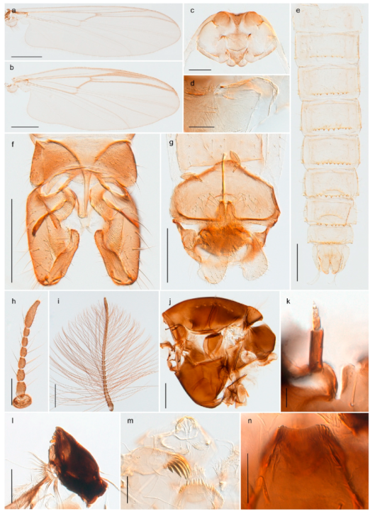 Insects 11 00183 g007