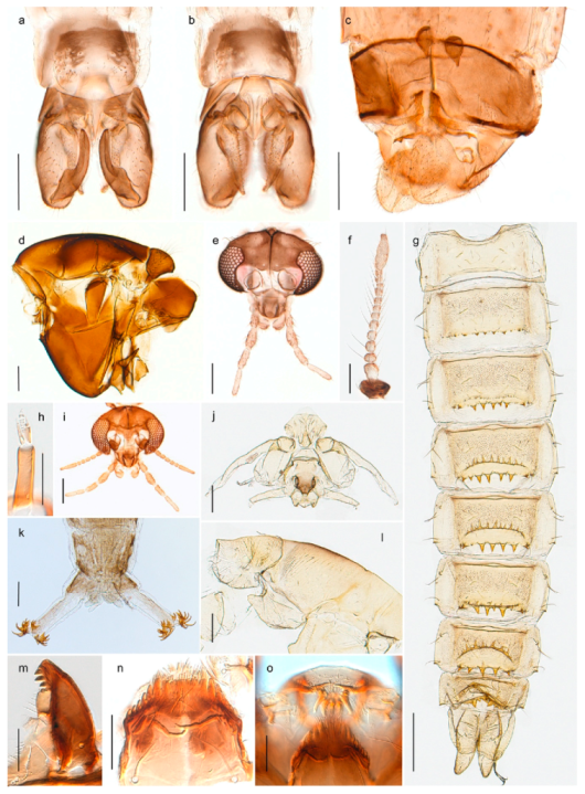 Insects 11 00183 g009